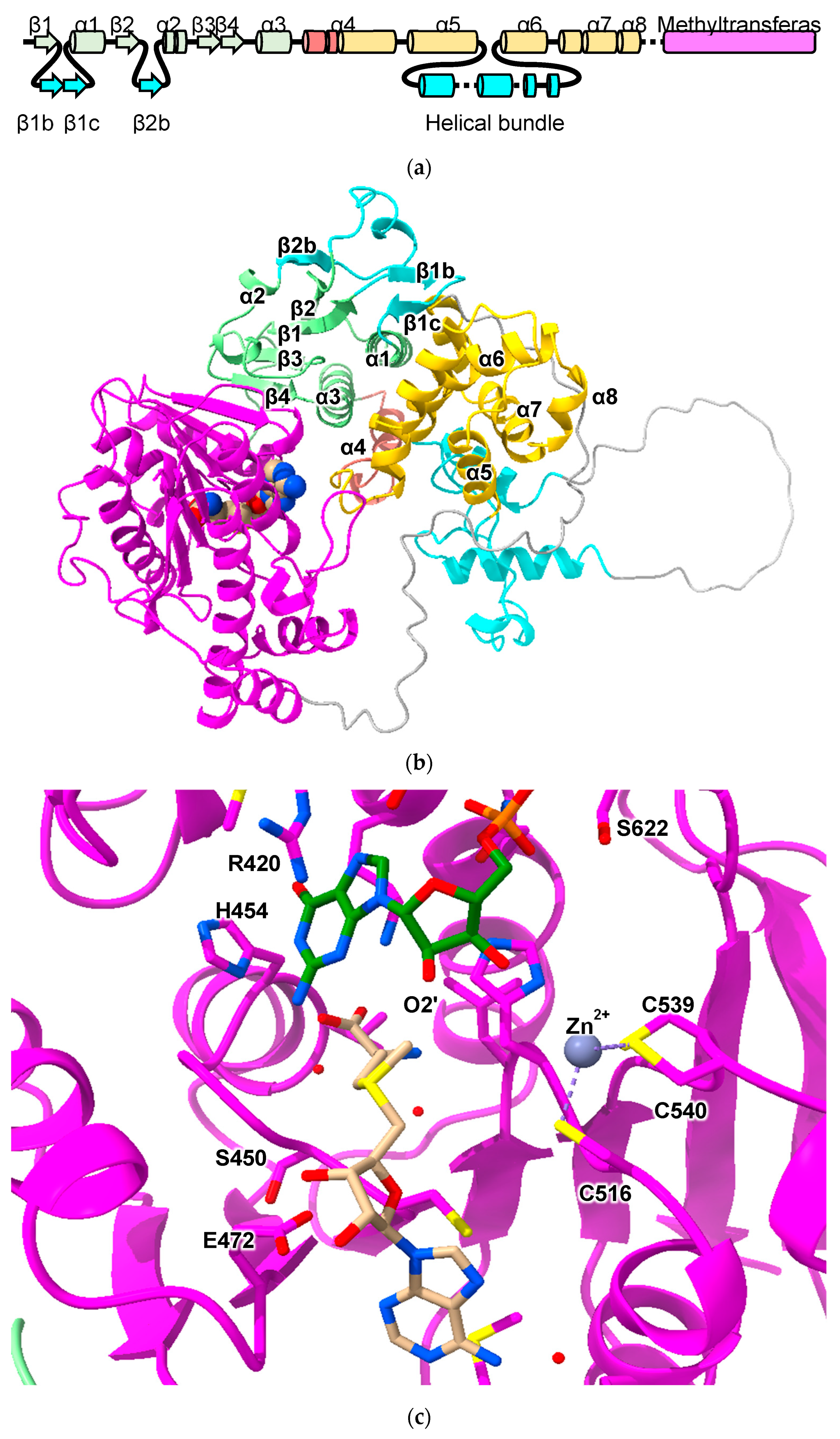 Biomolecules 13 01240 g008