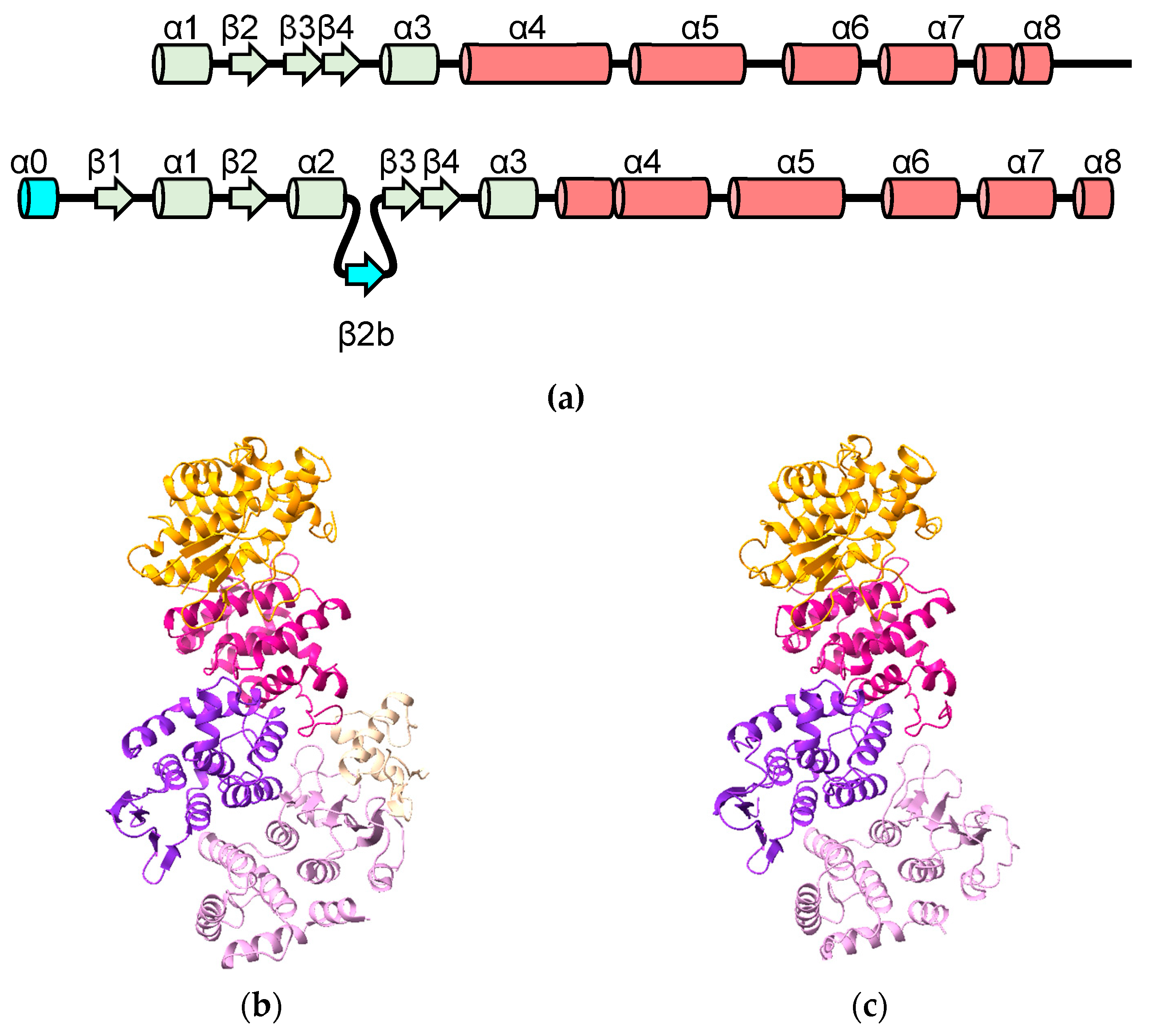 Biomolecules 13 01240 g009