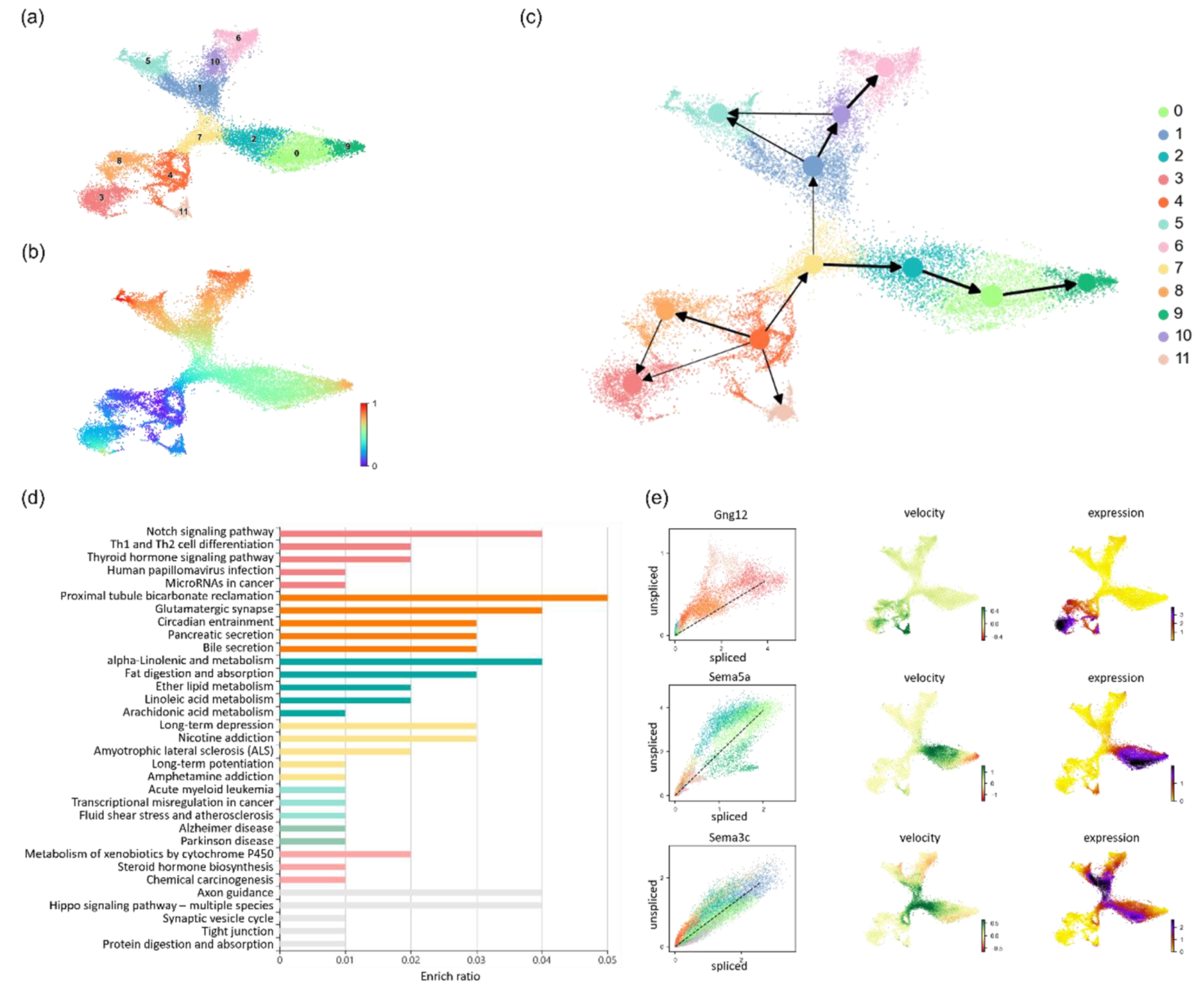 Biomolecules 13 01242 g004