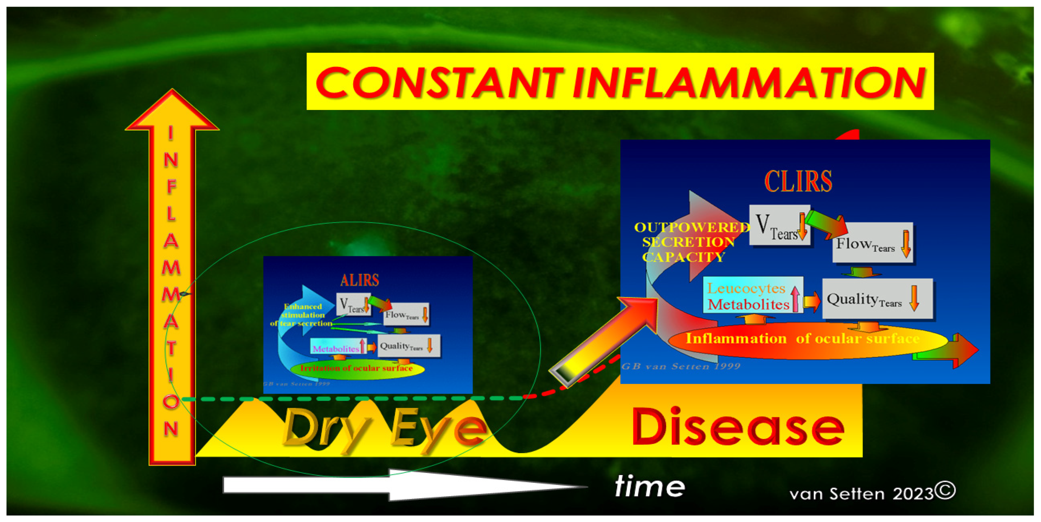 Biomolecules 13 01246 g003