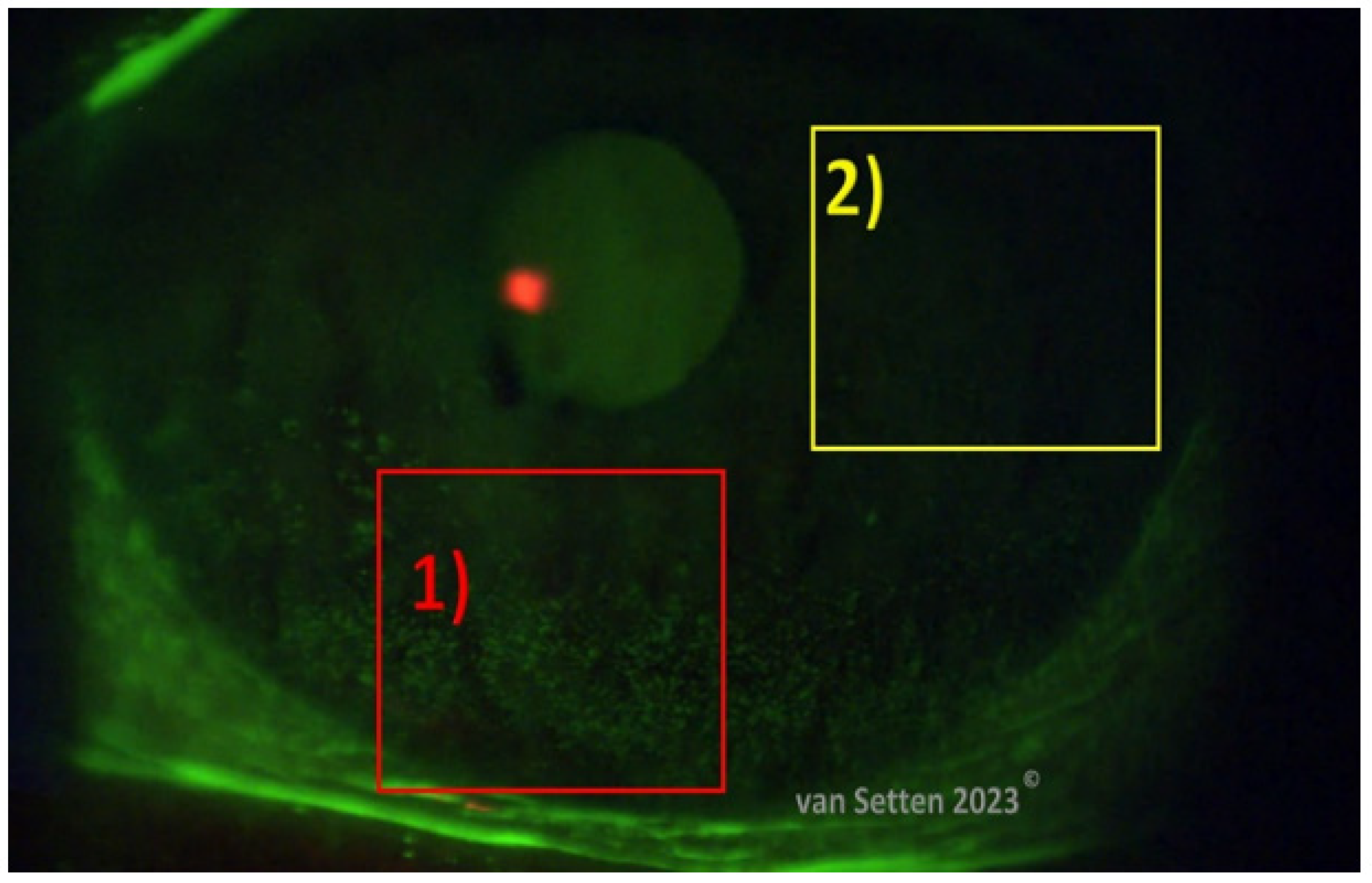 Biomolecules 13 01246 g007