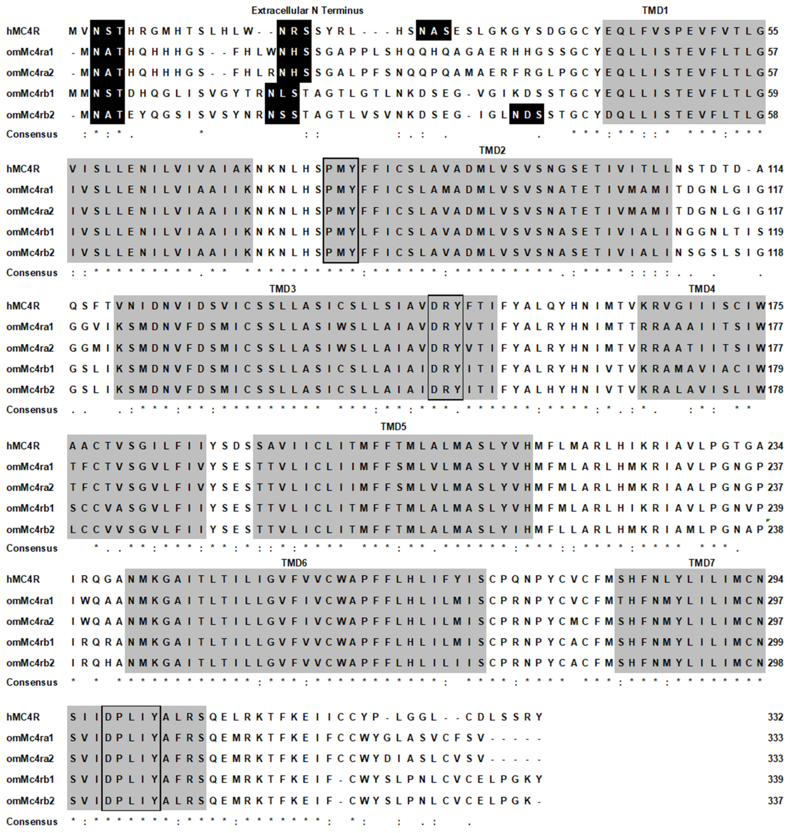 Biomolecules 13 01248 g001