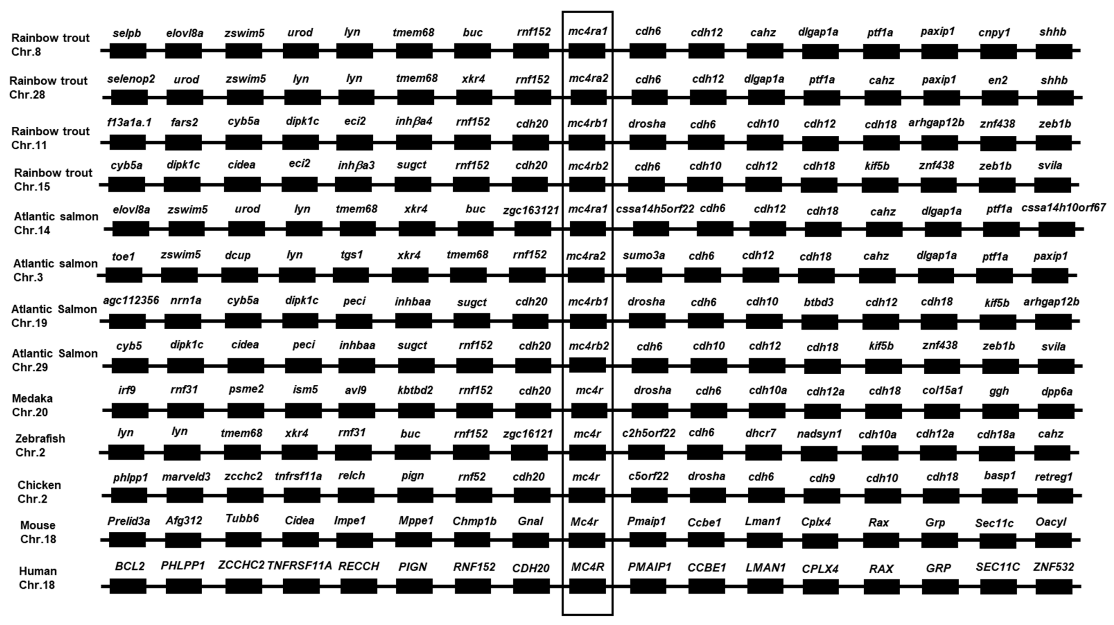 Biomolecules 13 01248 g003