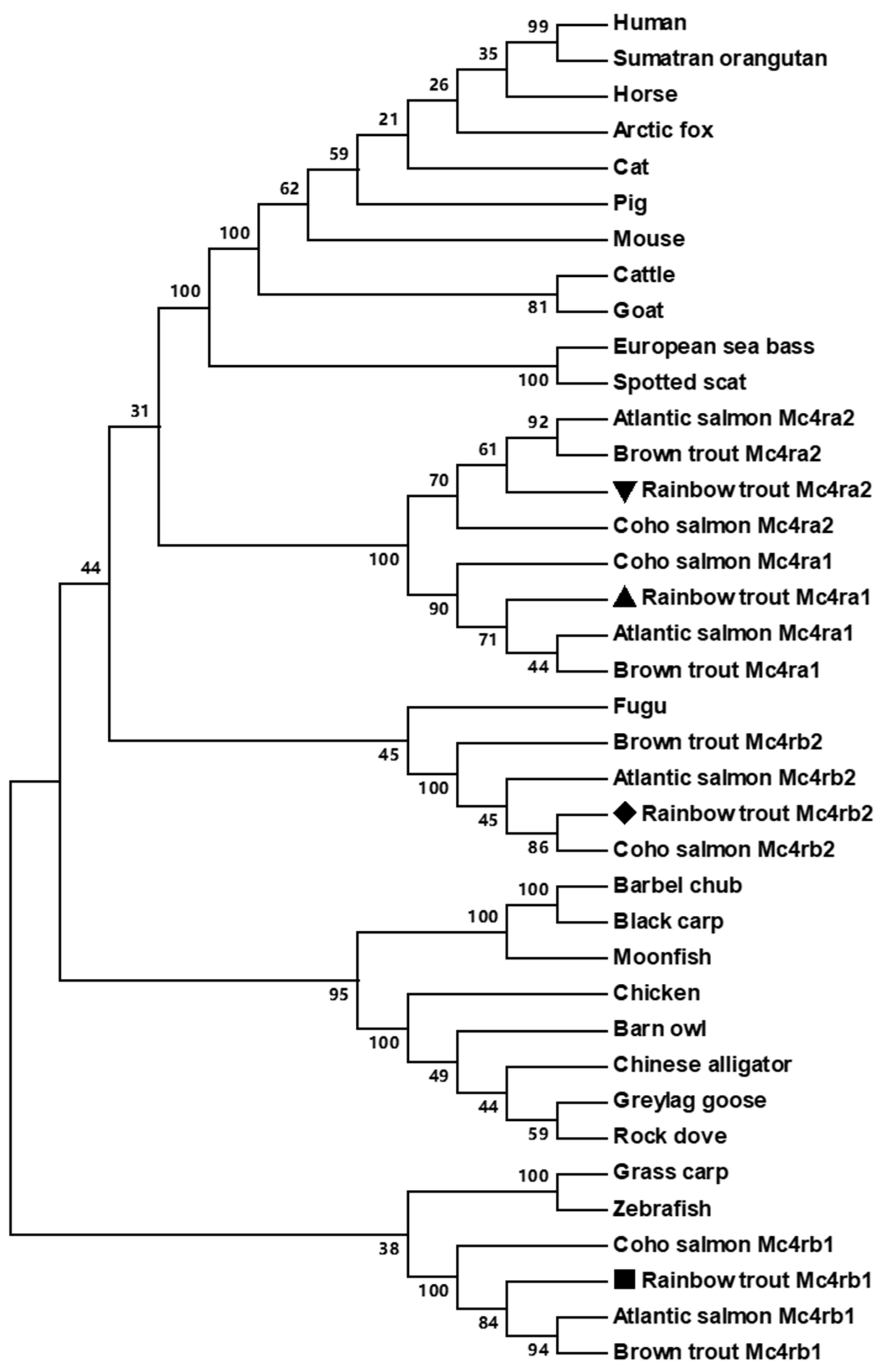 Biomolecules 13 01248 g004