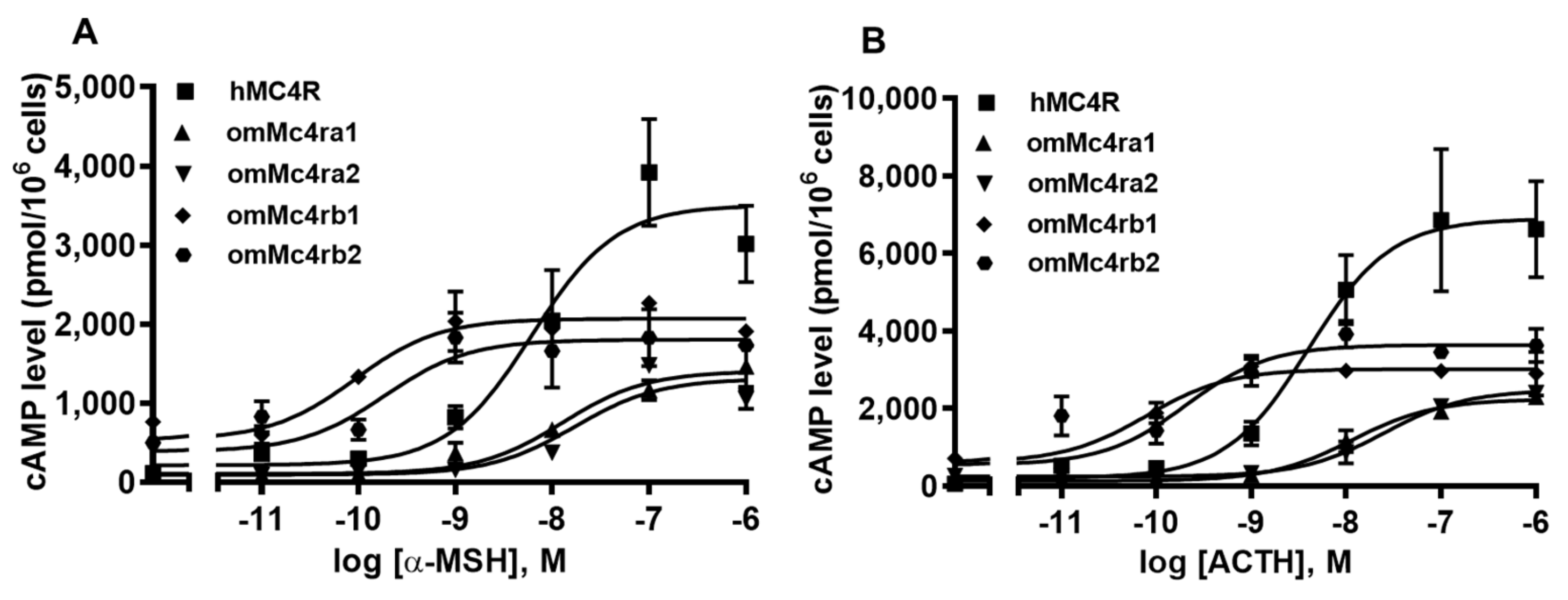 Biomolecules 13 01248 g007