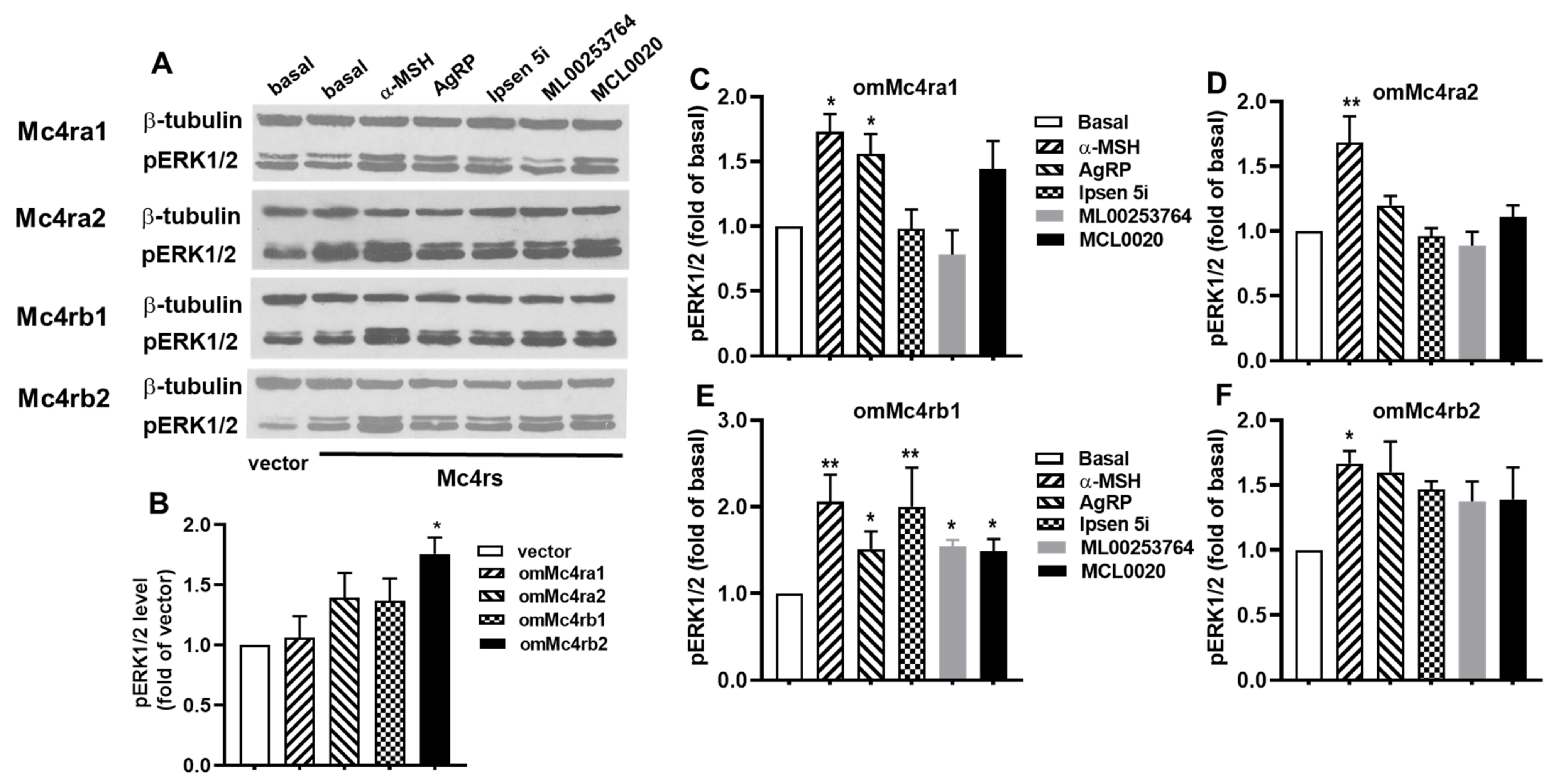 Biomolecules 13 01248 g009