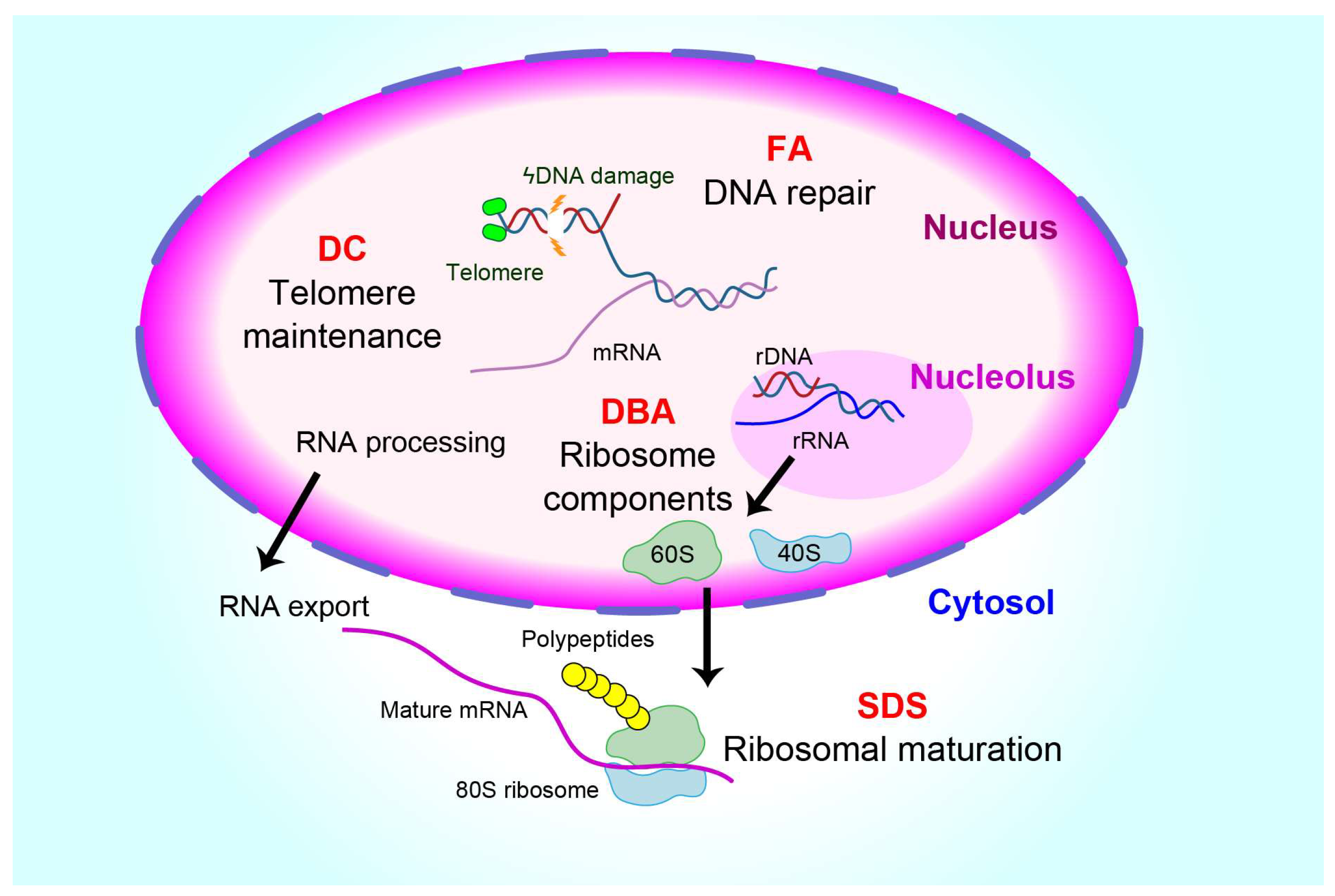 Biomolecules 13 01249 g001