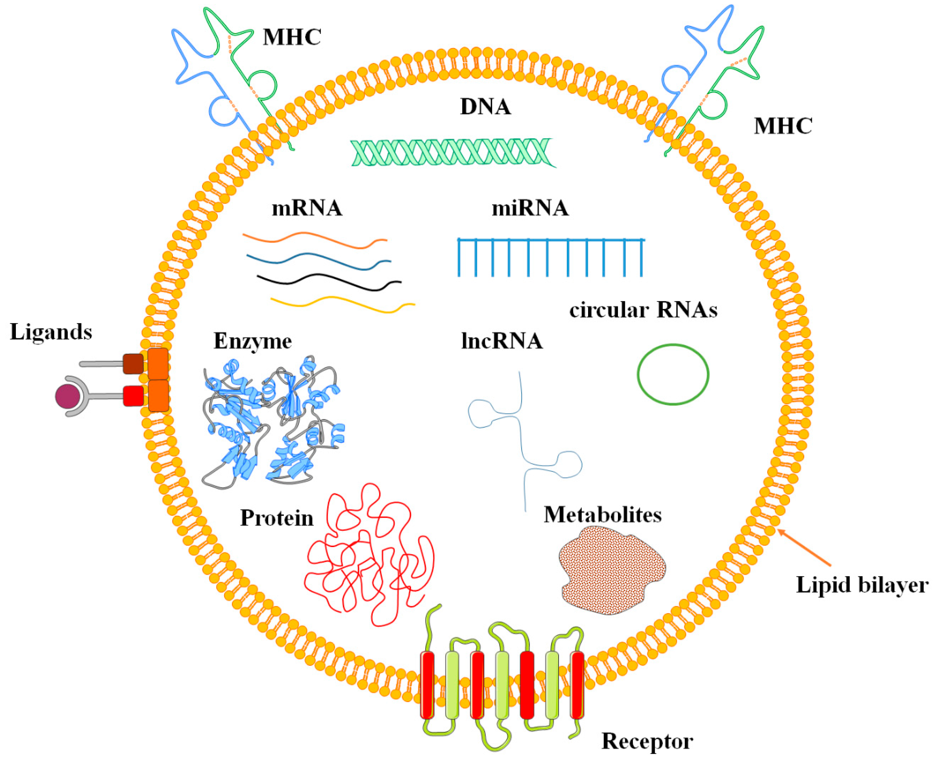 Biomolecules 13 01250 g002 Biomolecules 13 01250 g002