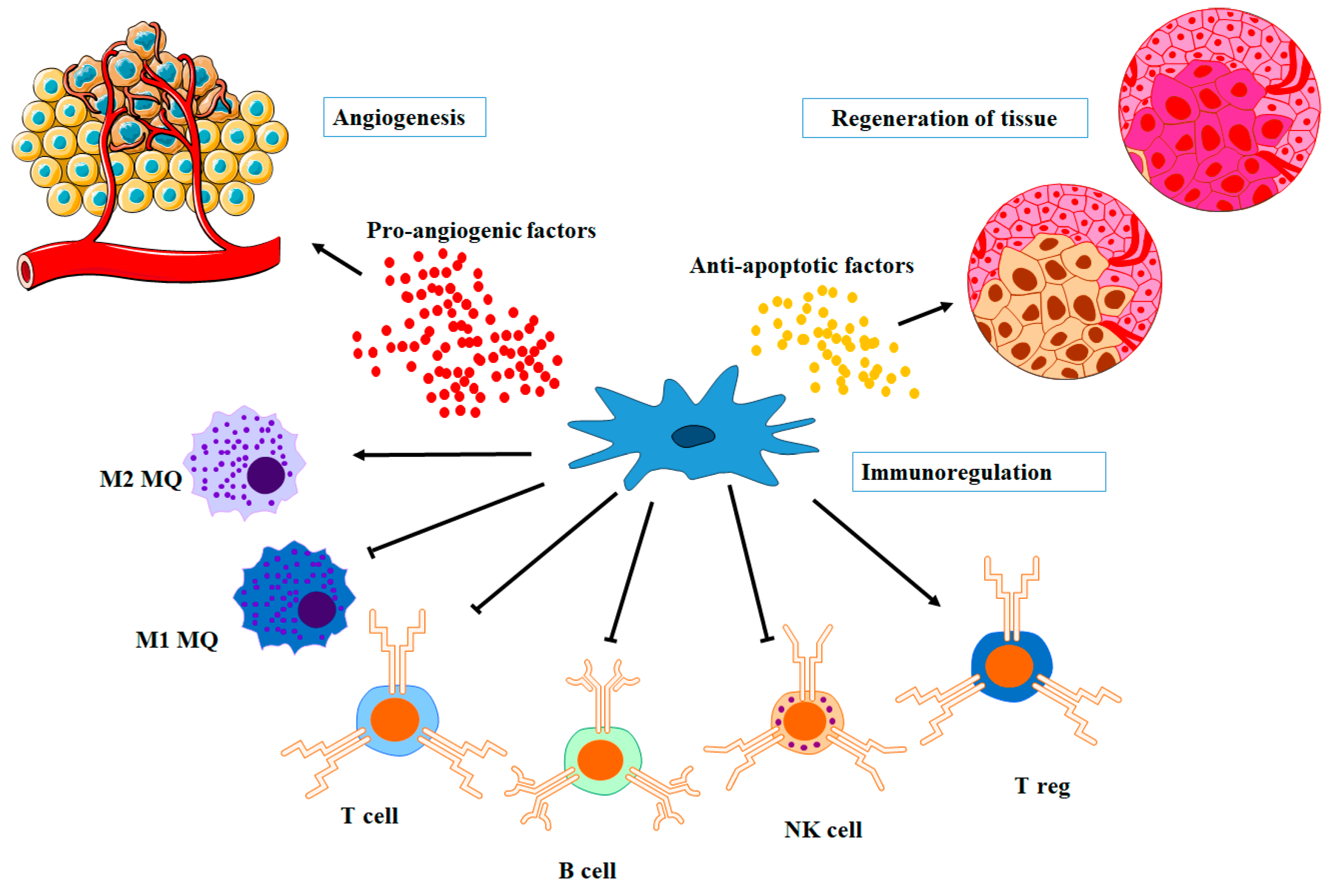 Biomolecules 13 01250 g003 Biomolecules 13 01250 g003