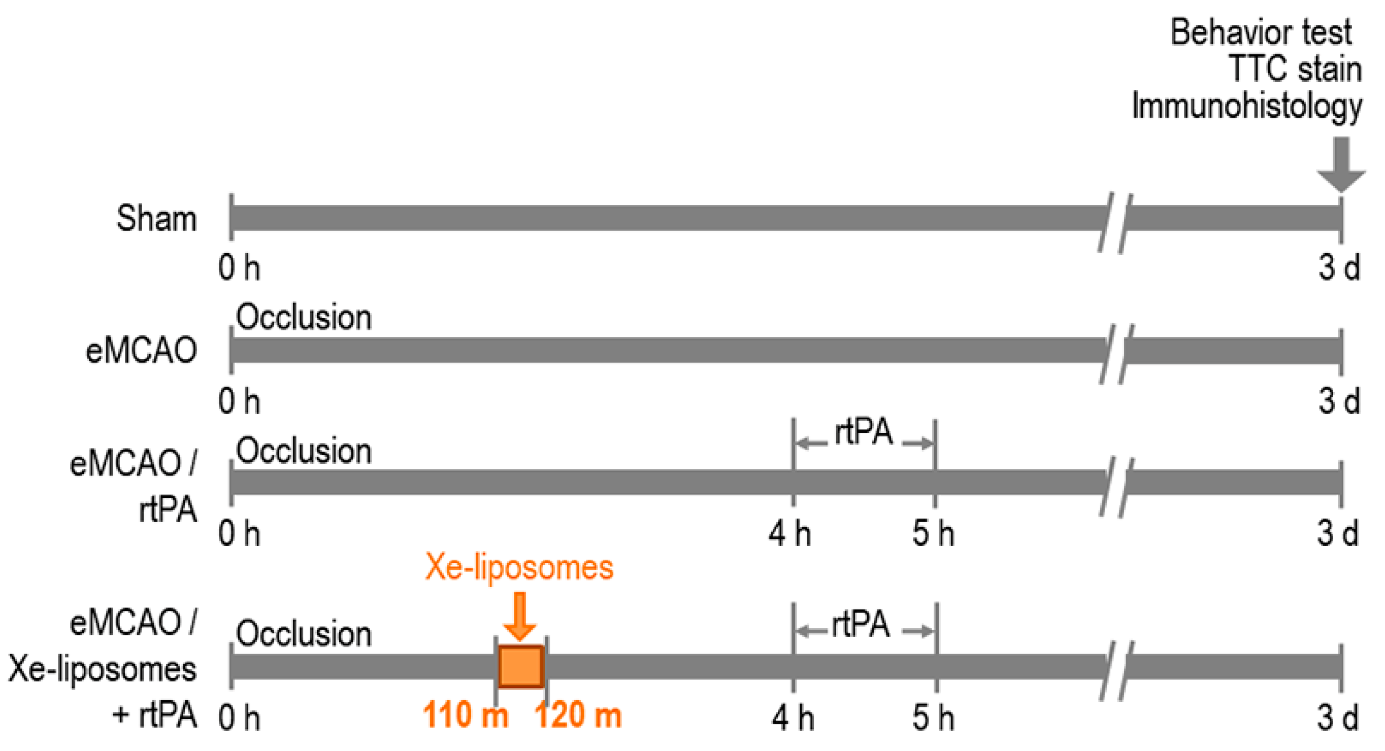 Biomolecules 13 01256 g002