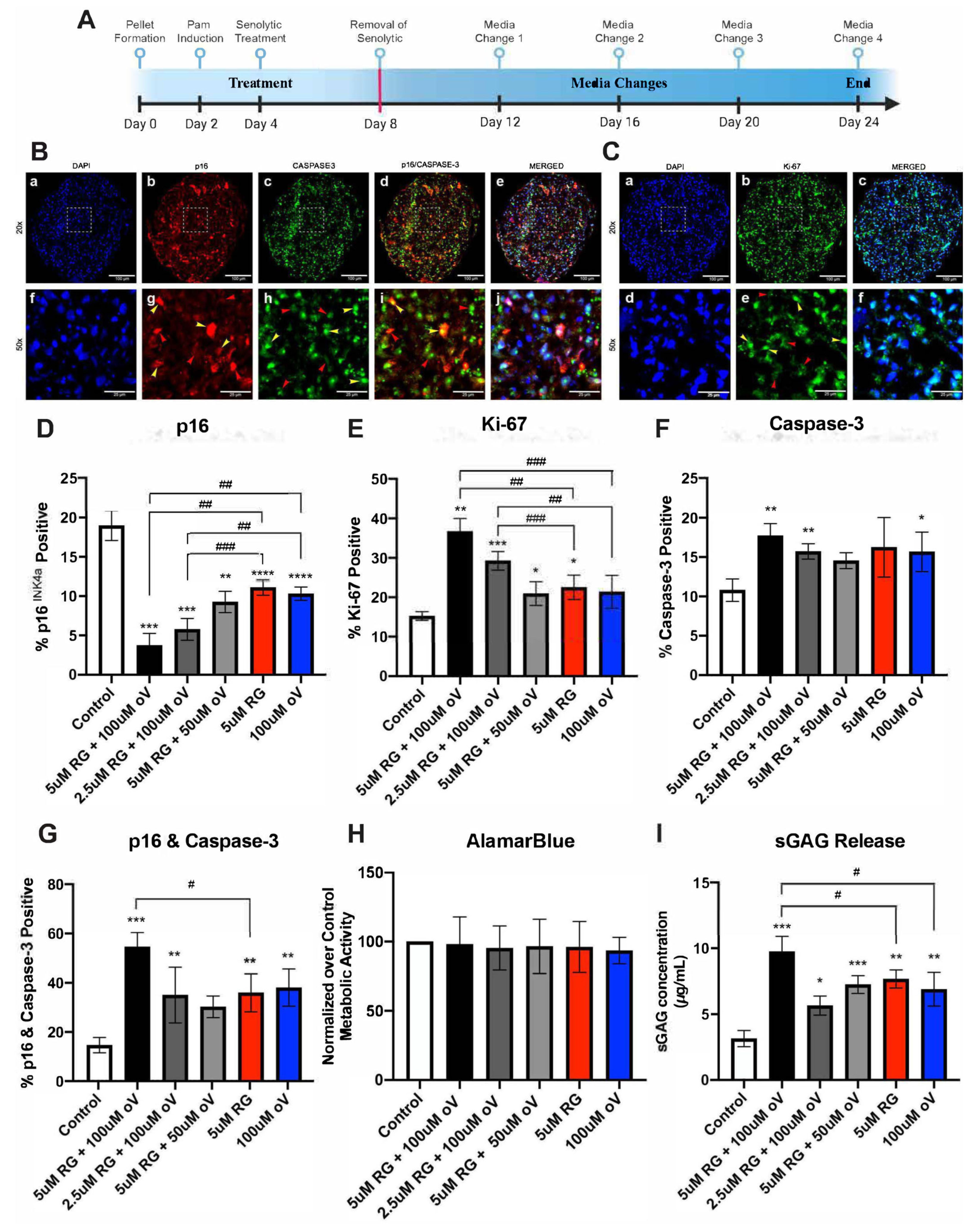Biomolecules 13 01257 g003