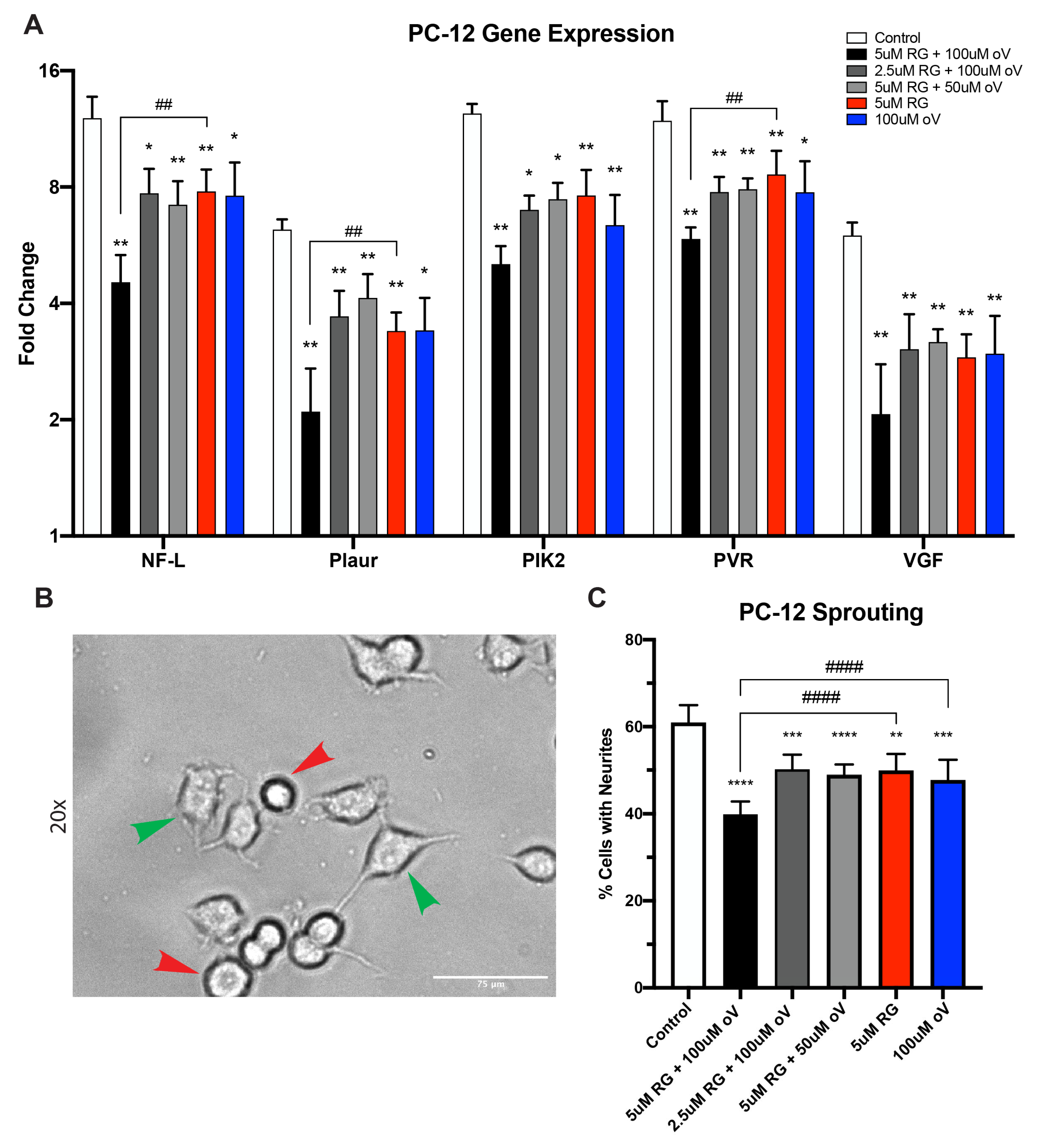 Biomolecules 13 01257 g005