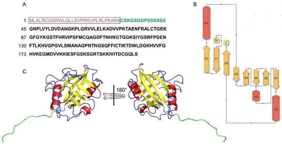 Biomolecules 13 01265 g001