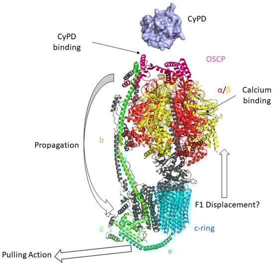 Biomolecules 13 01265 g003