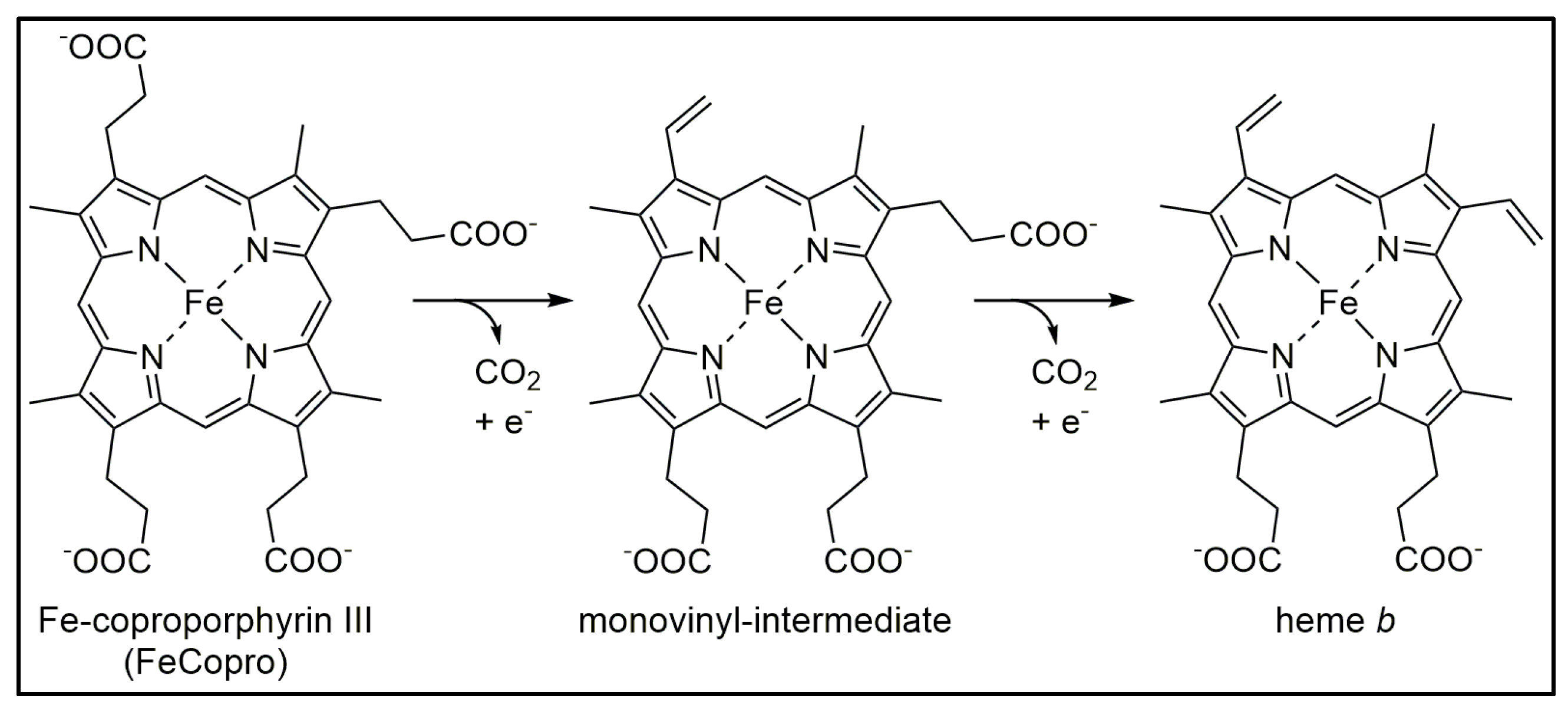 Biomolecules 13 01268 g001