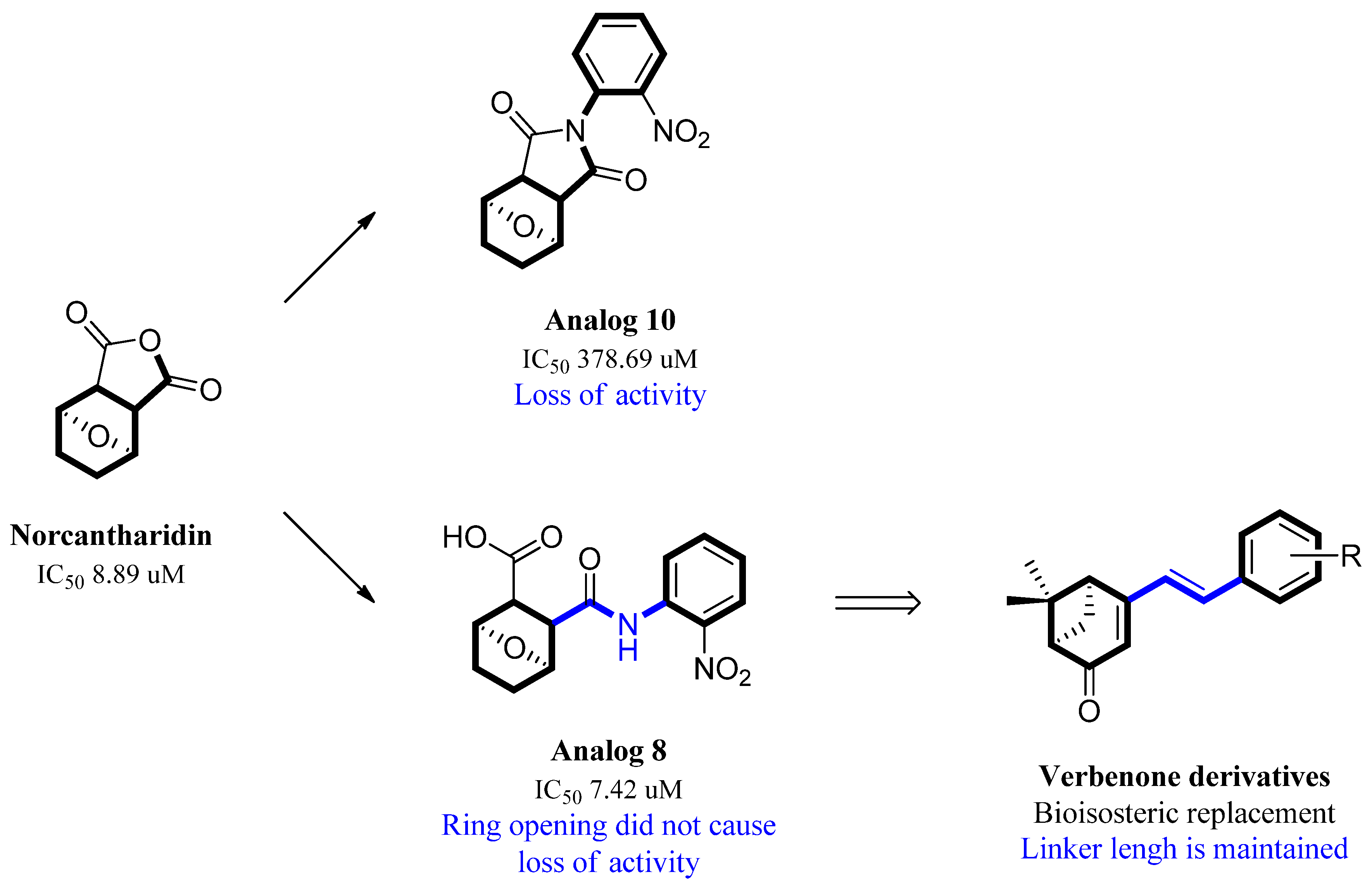 Biomolecules 13 01272 g001 Biomolecules 13 01272 g001
