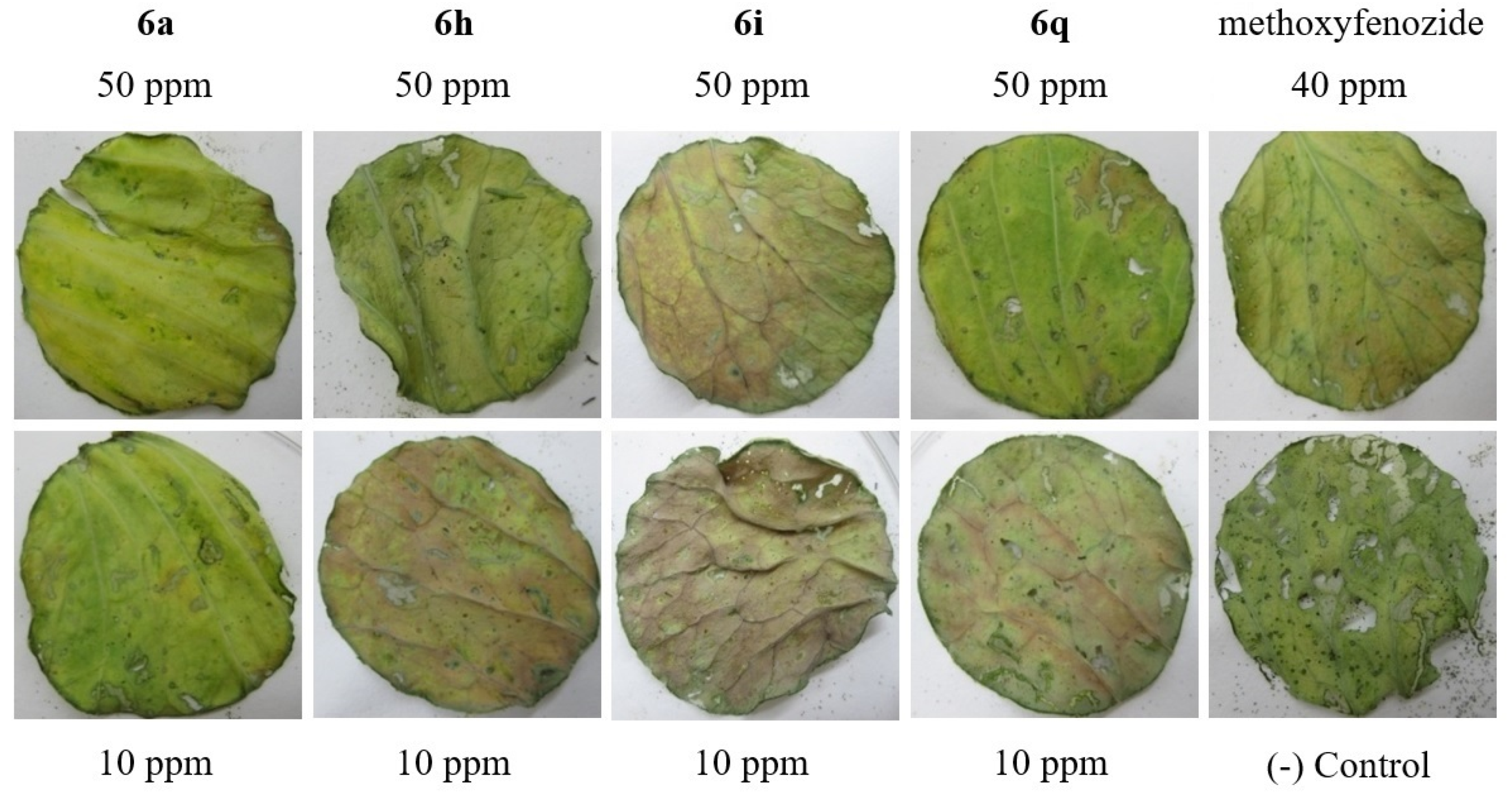 Biomolecules 13 01272 g002 Biomolecules 13 01272 g002