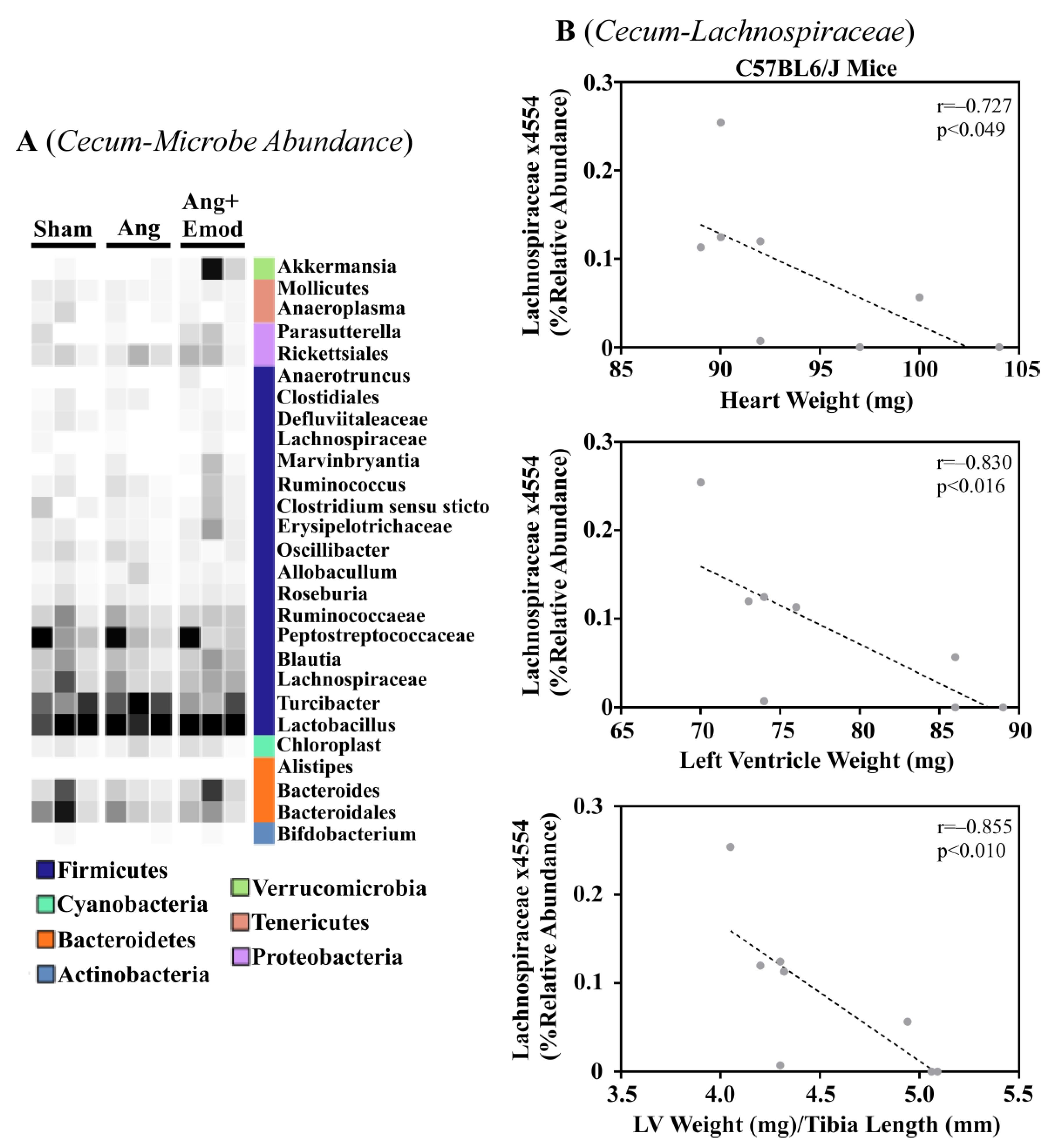 Biomolecules 13 01274 g001