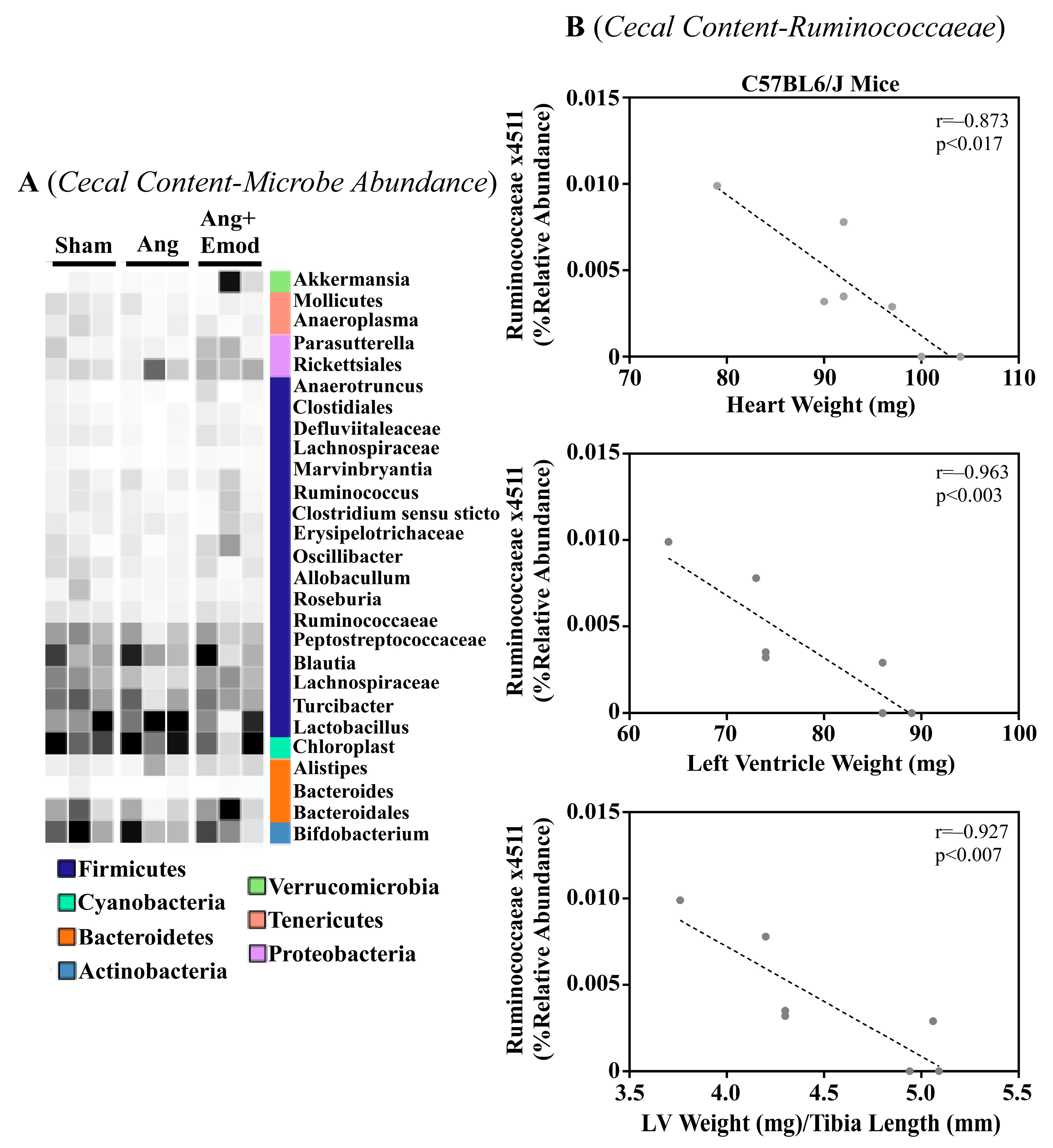 Biomolecules 13 01274 g002