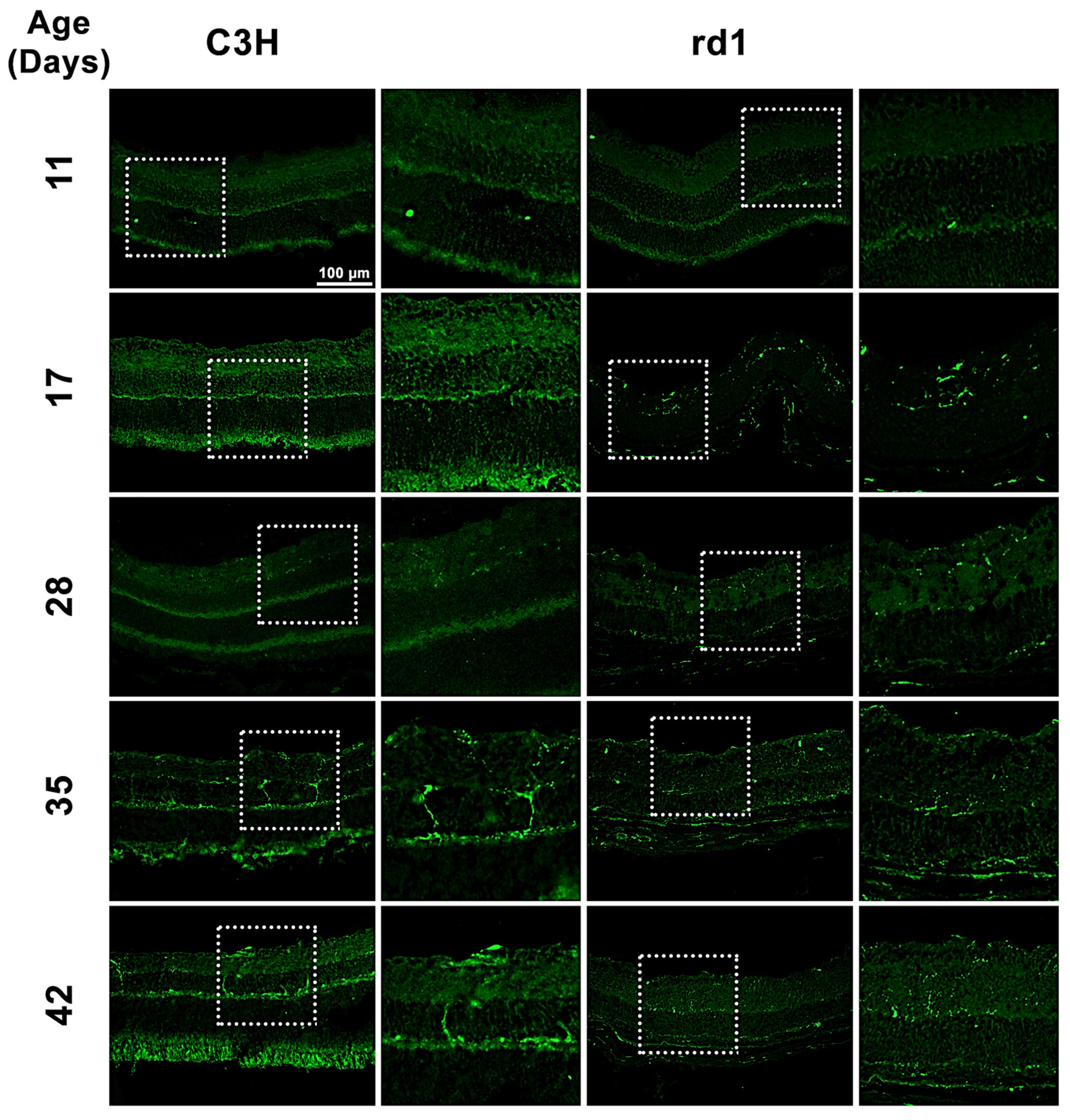 Biomolecules 13 01277 g001