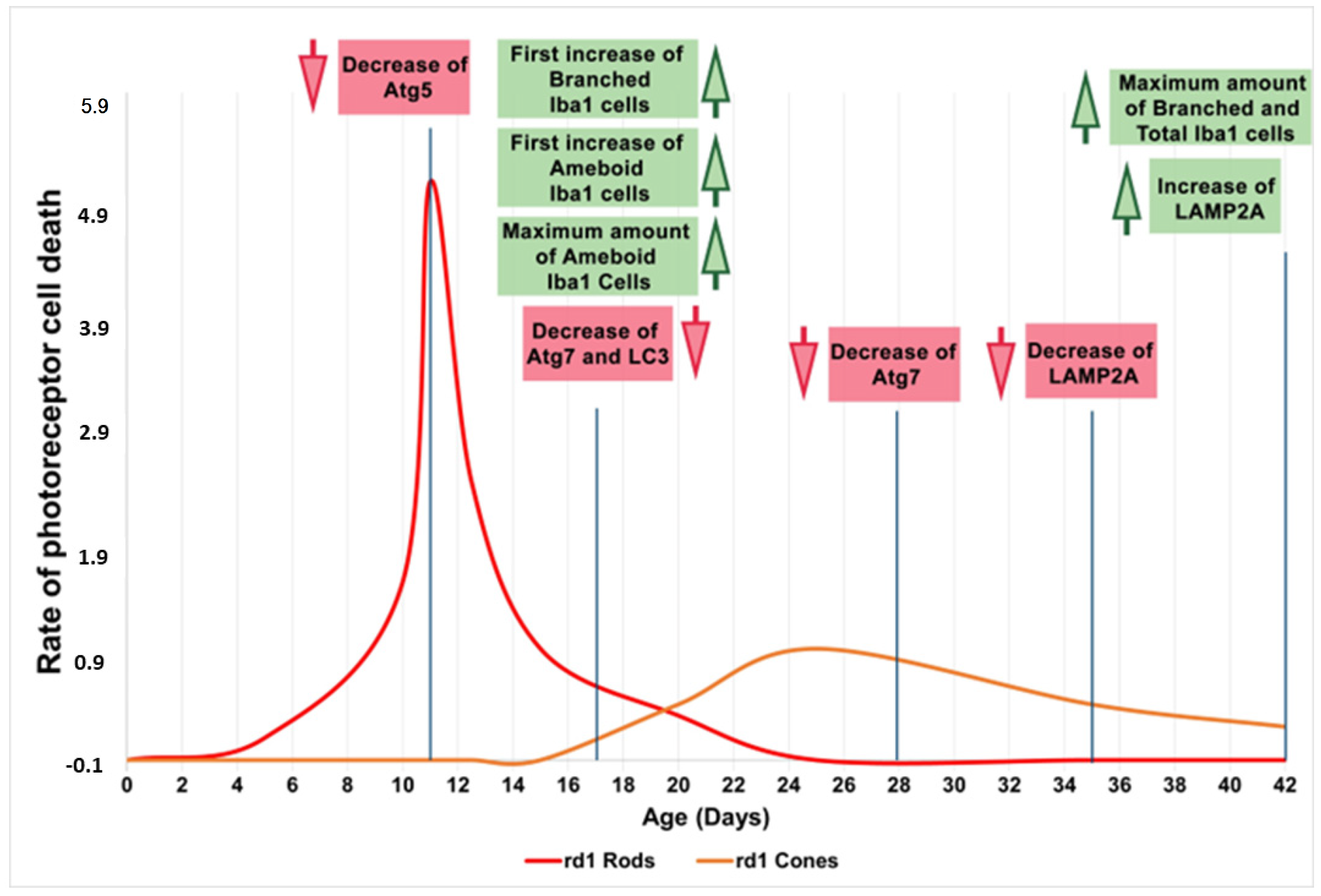 Biomolecules 13 01277 g008