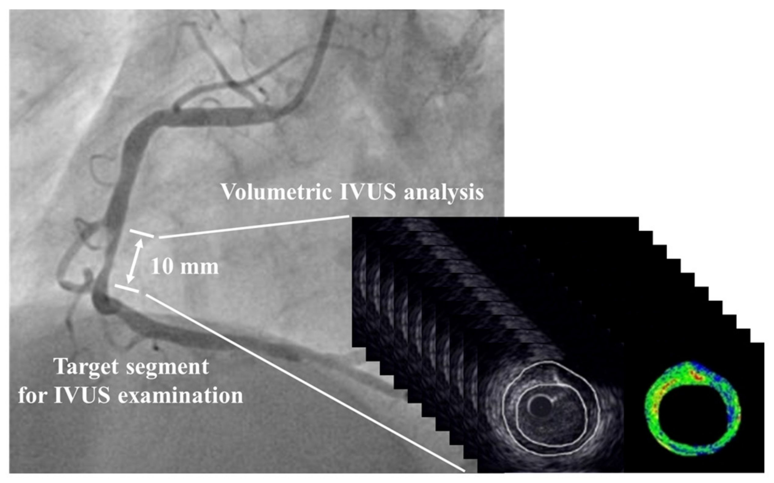 Biomolecules 13 01278 g001