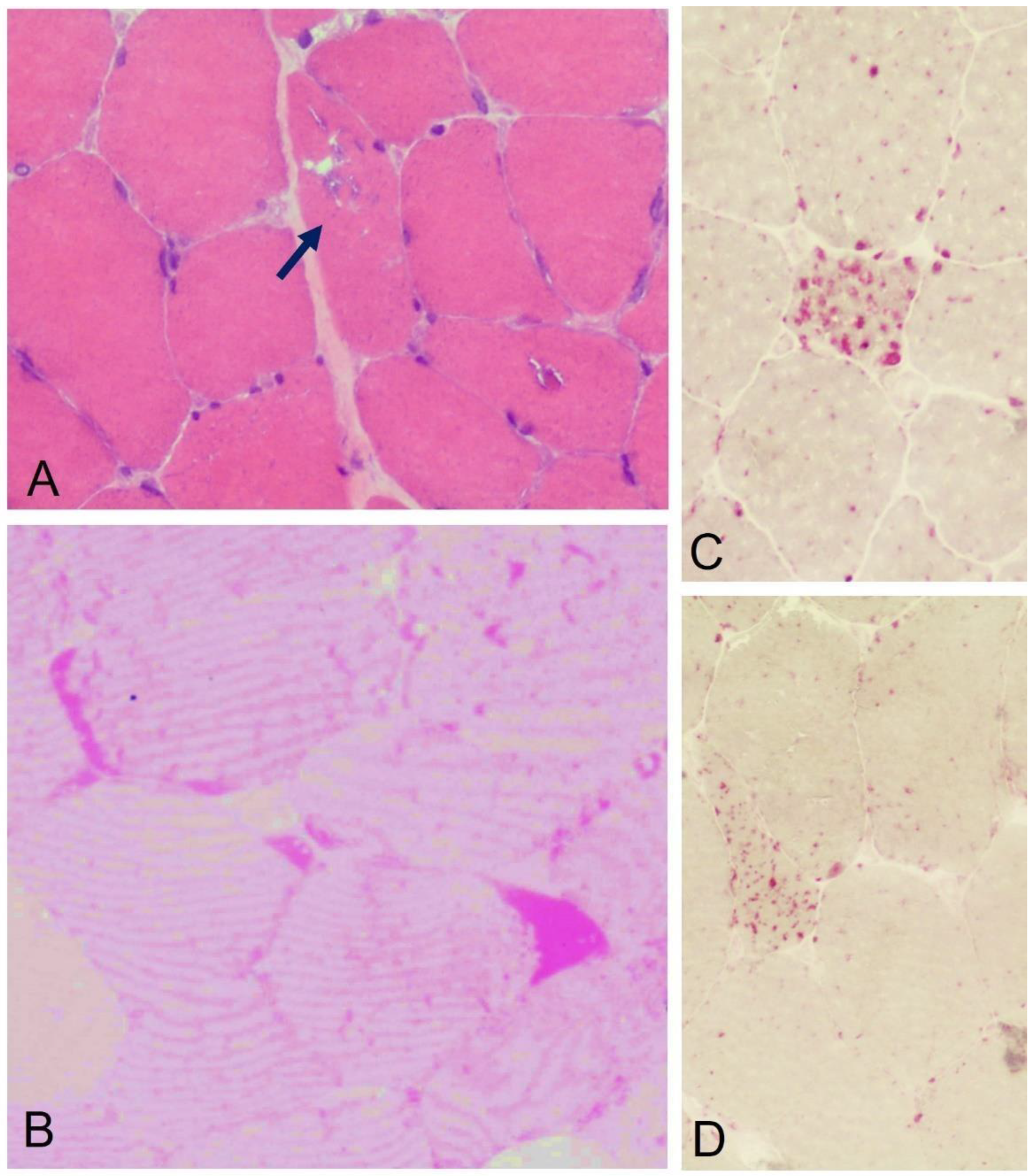 Biomolecules 13 01279 g001 Biomolecules 13 01279 g001
