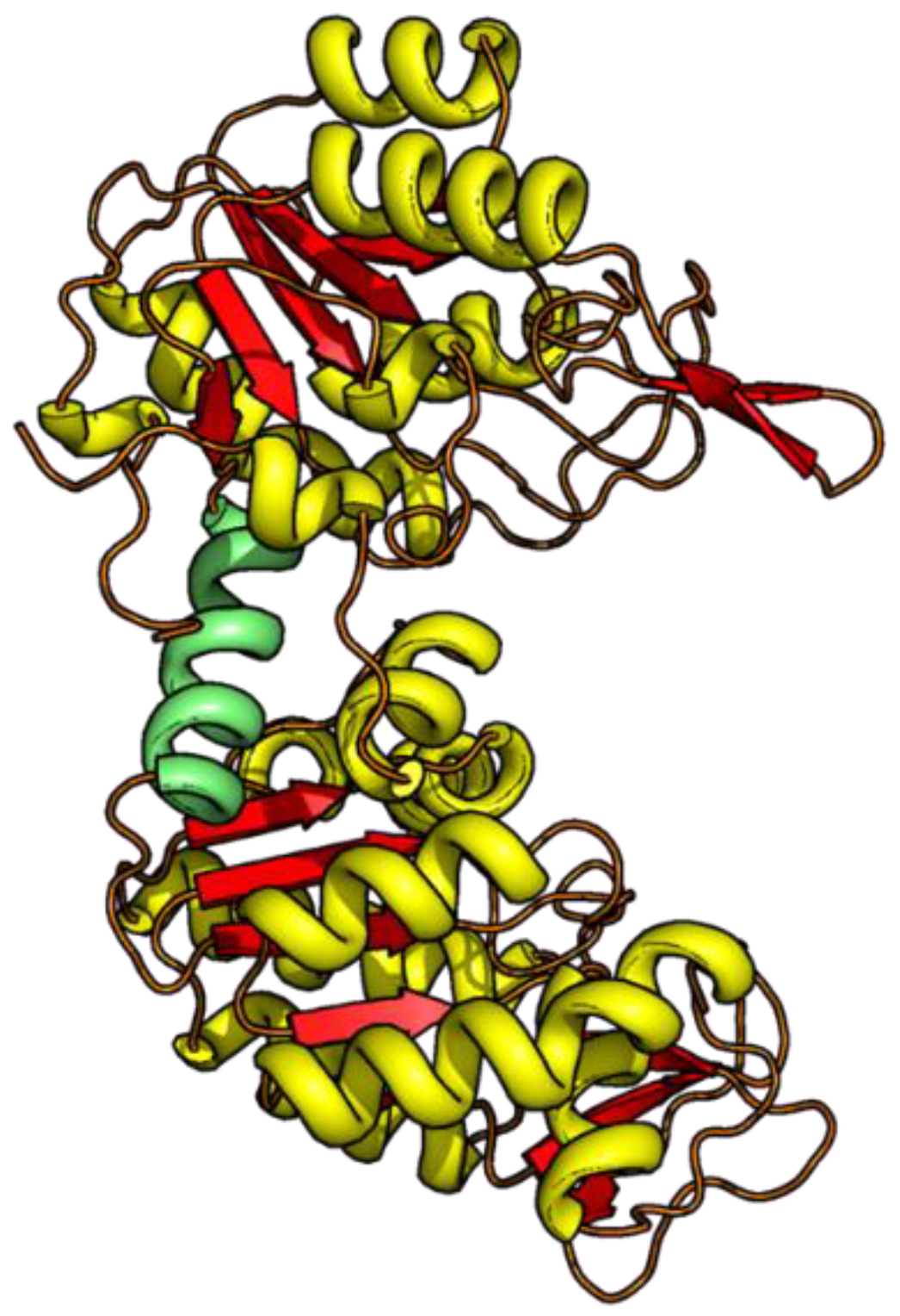 Biomolecules 13 01280 g001 Biomolecules 13 01280 g001