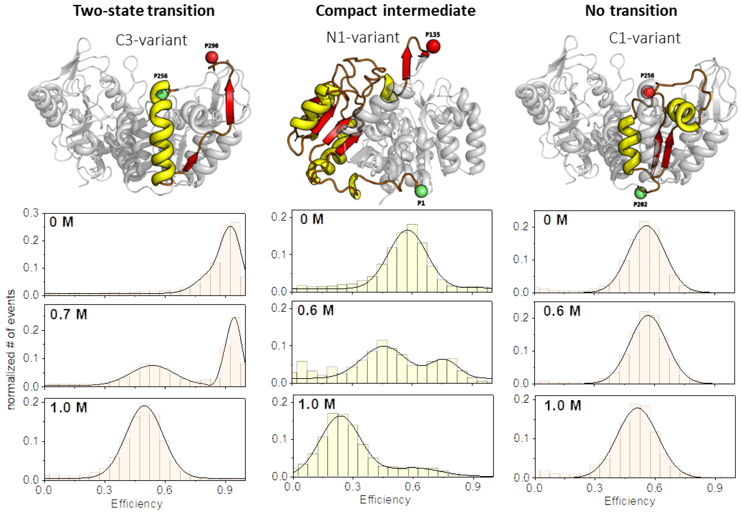 Biomolecules 13 01280 g002 Biomolecules 13 01280 g002