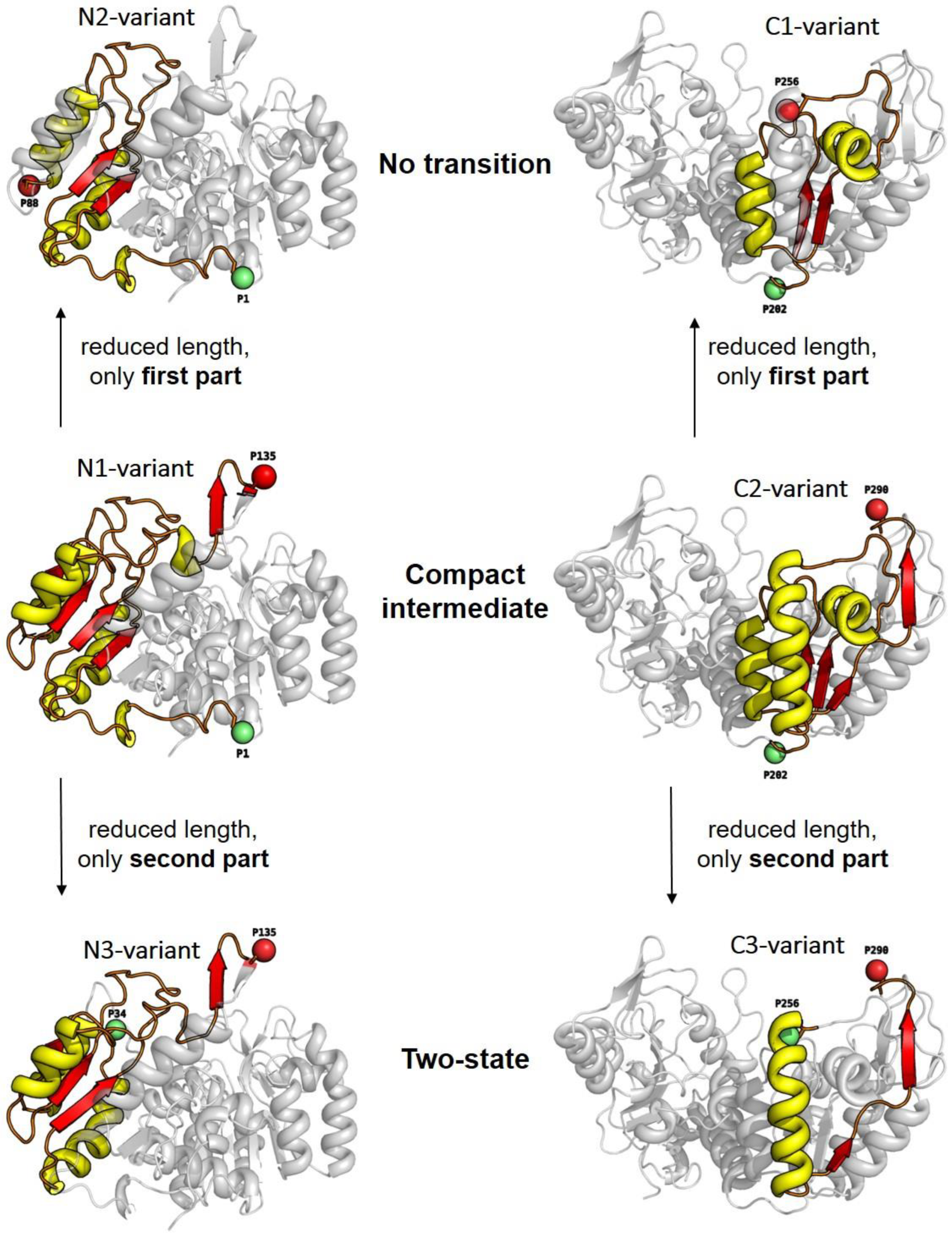 Biomolecules 13 01280 g003 Biomolecules 13 01280 g003