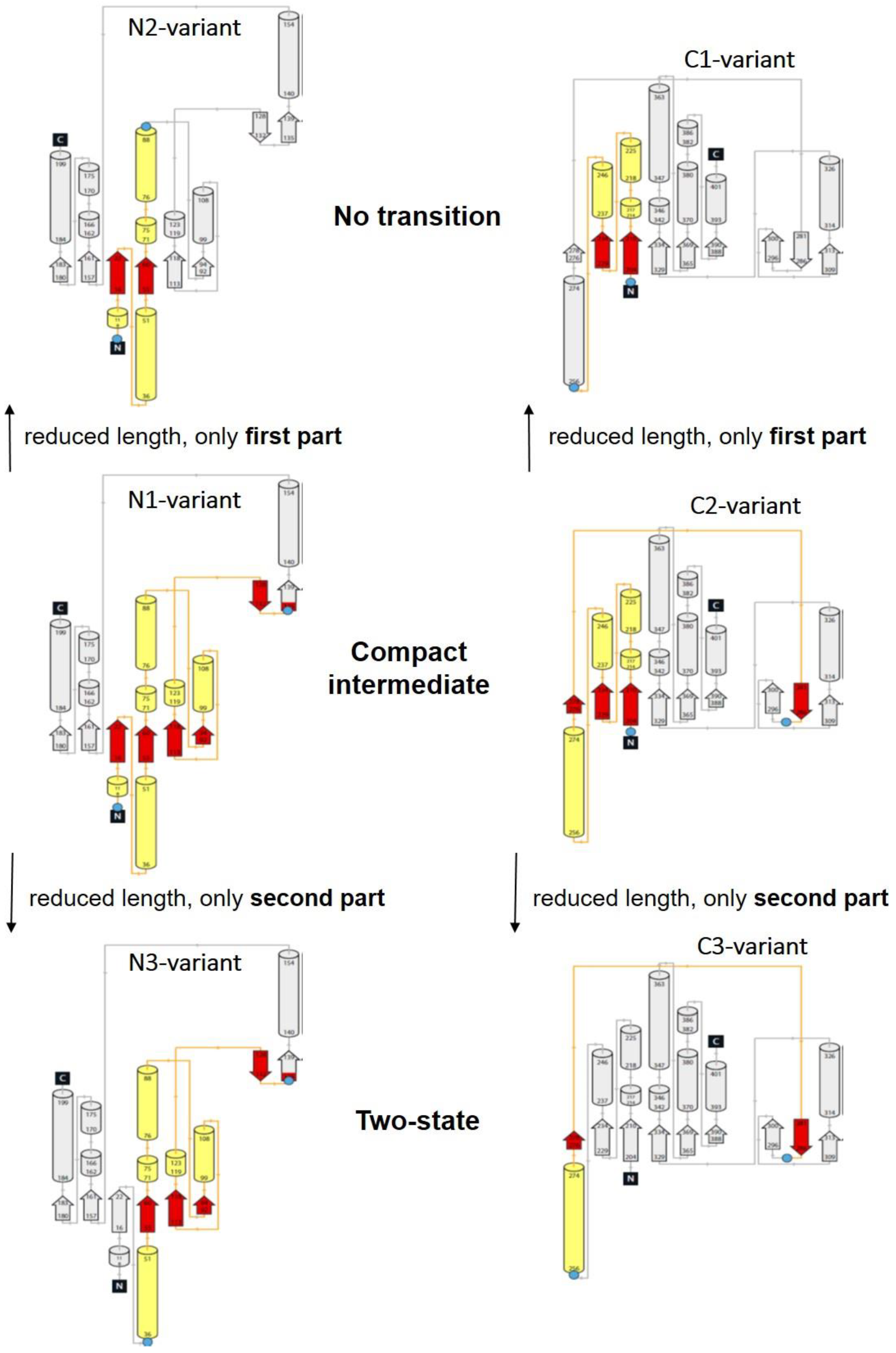 Biomolecules 13 01280 g004 Biomolecules 13 01280 g004