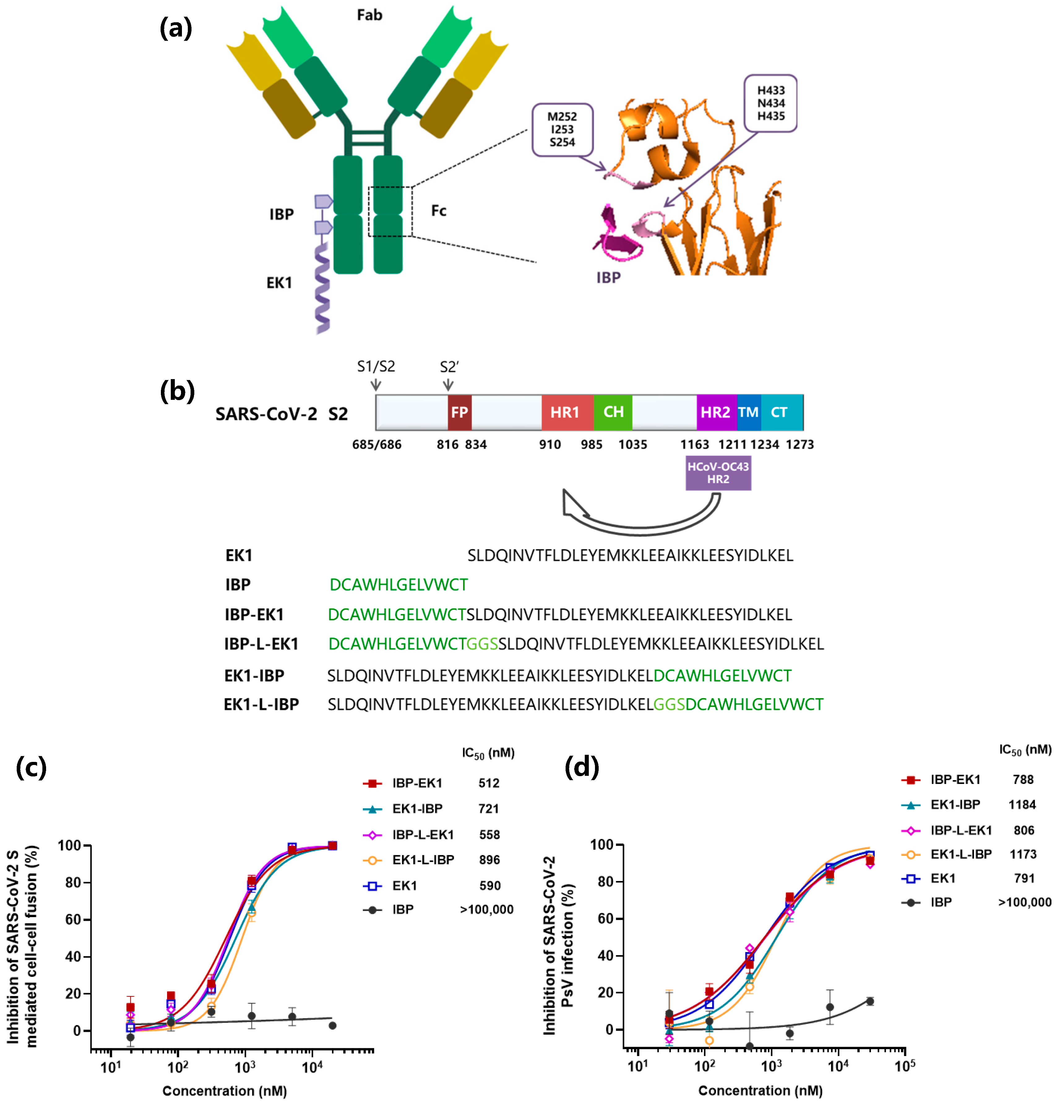 Biomolecules 13 01283 g001