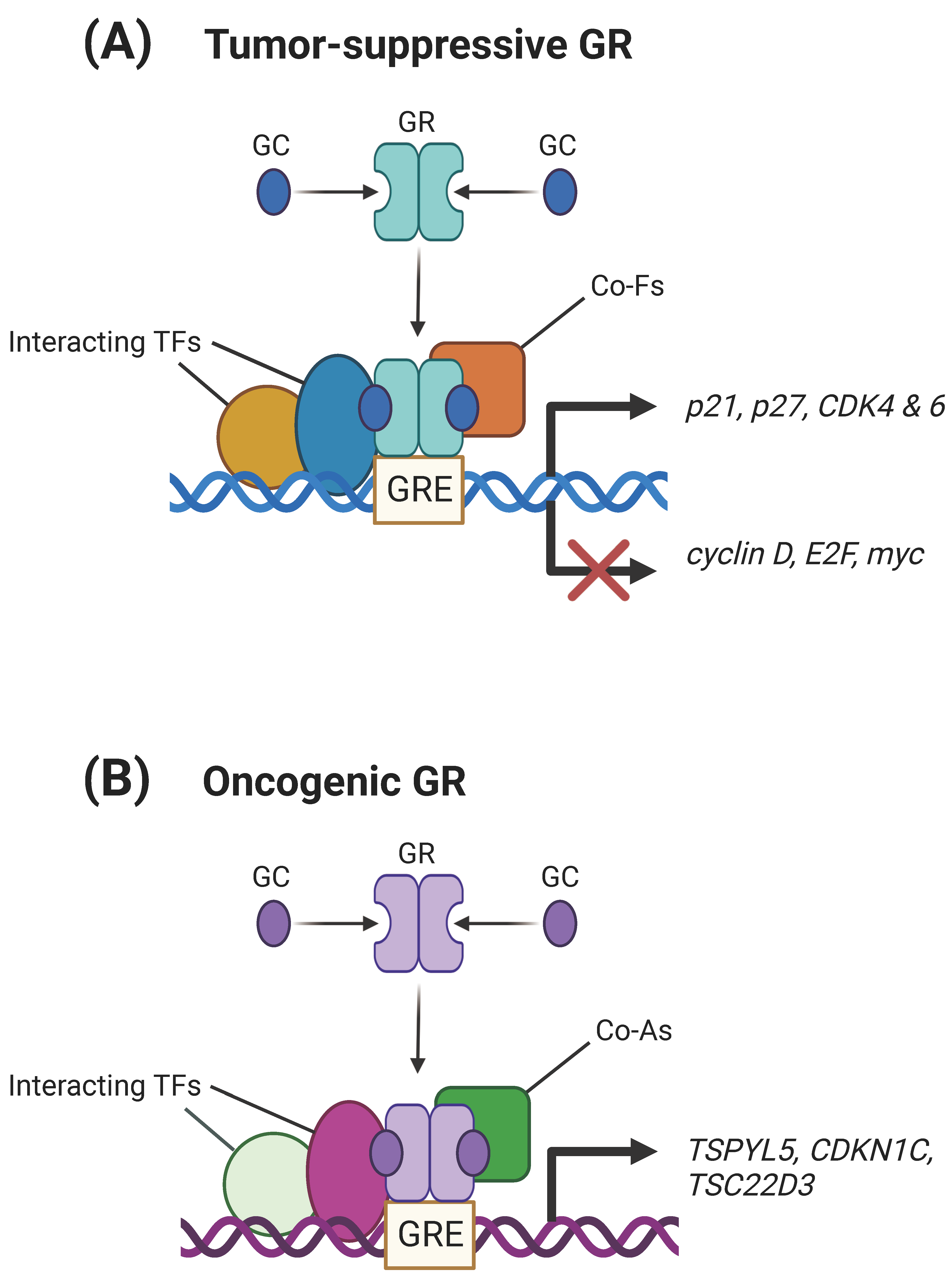 Biomolecules 13 01286 g001 Biomolecules 13 01286 g001