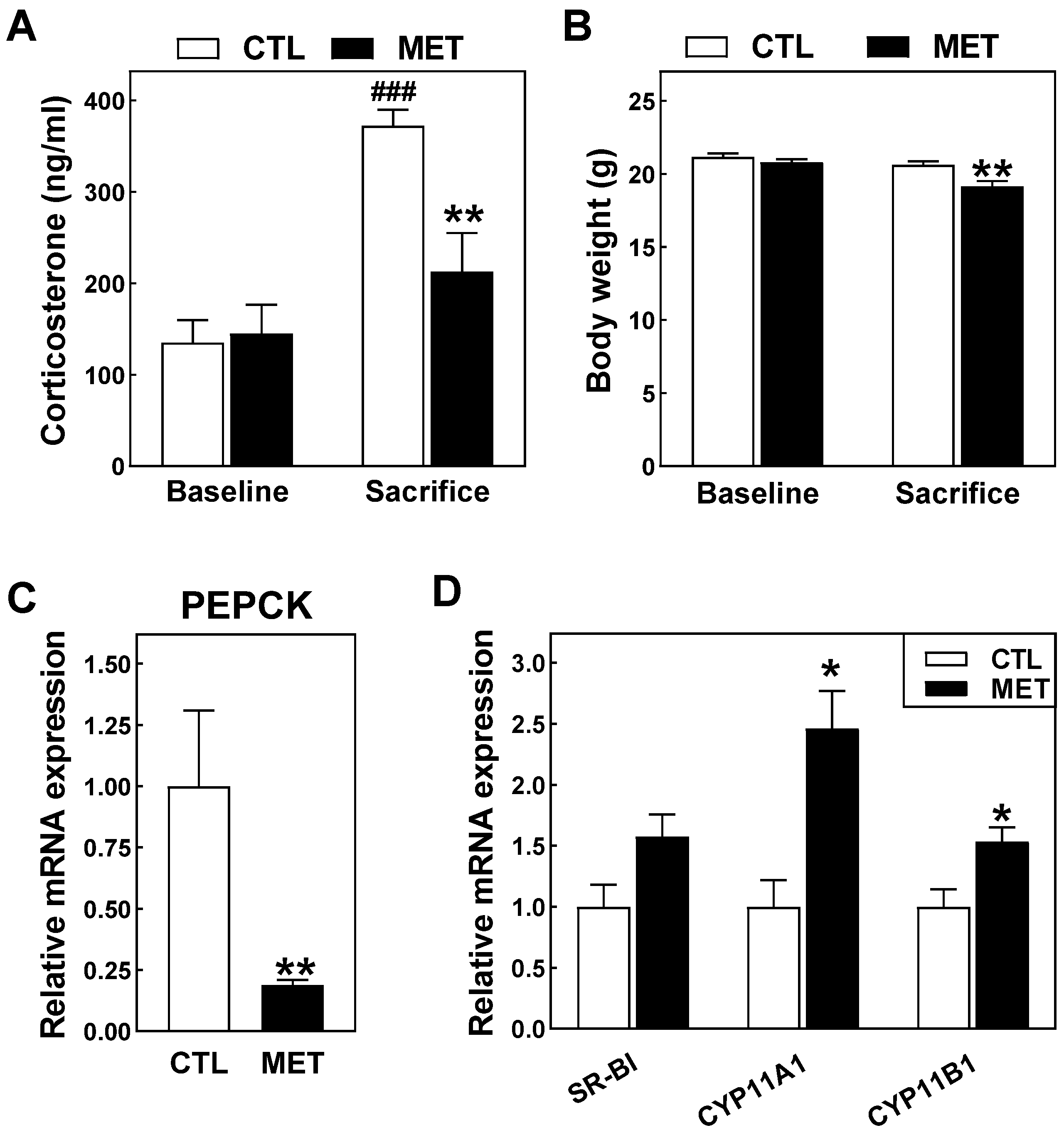 Biomolecules 13 01287 g001