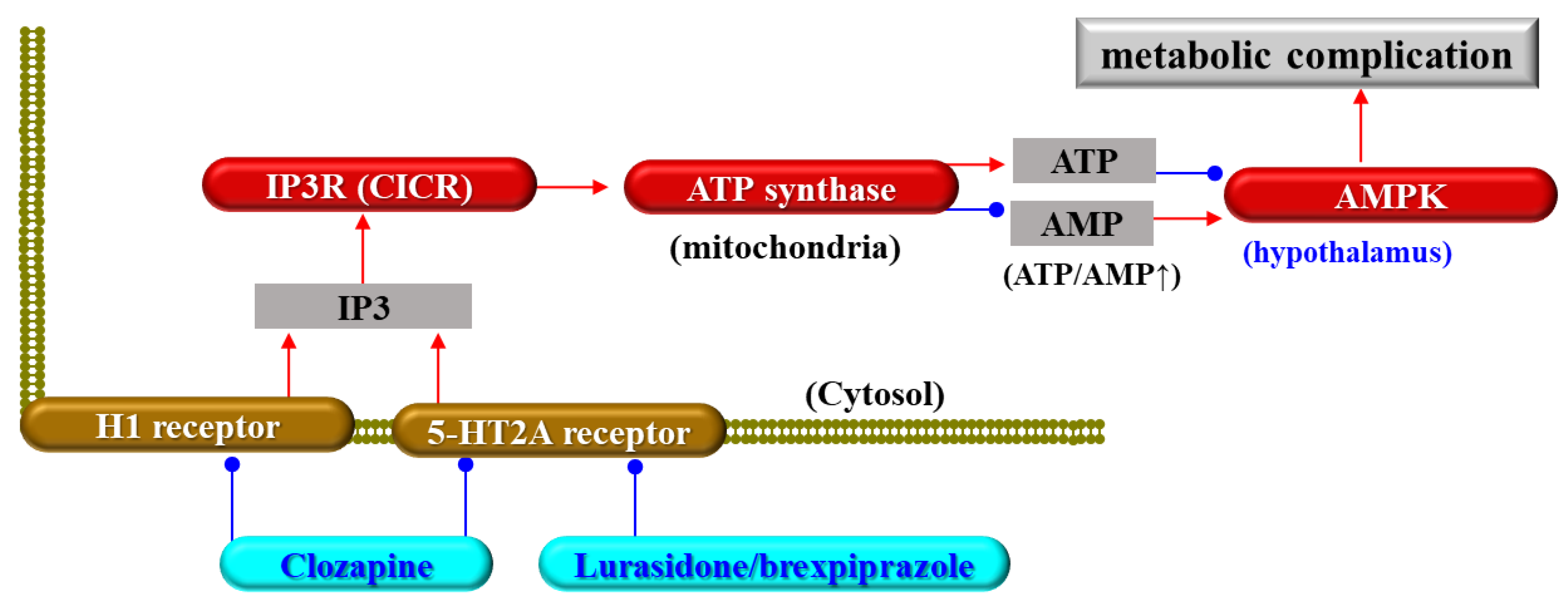 Biomolecules 13 01288 g001