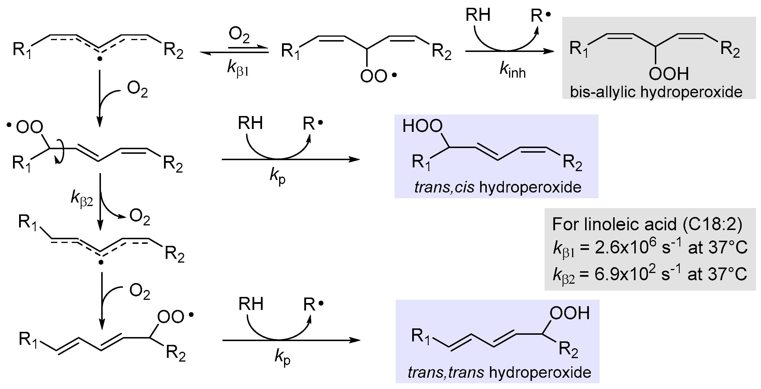 Biomolecules 13 01291 g002