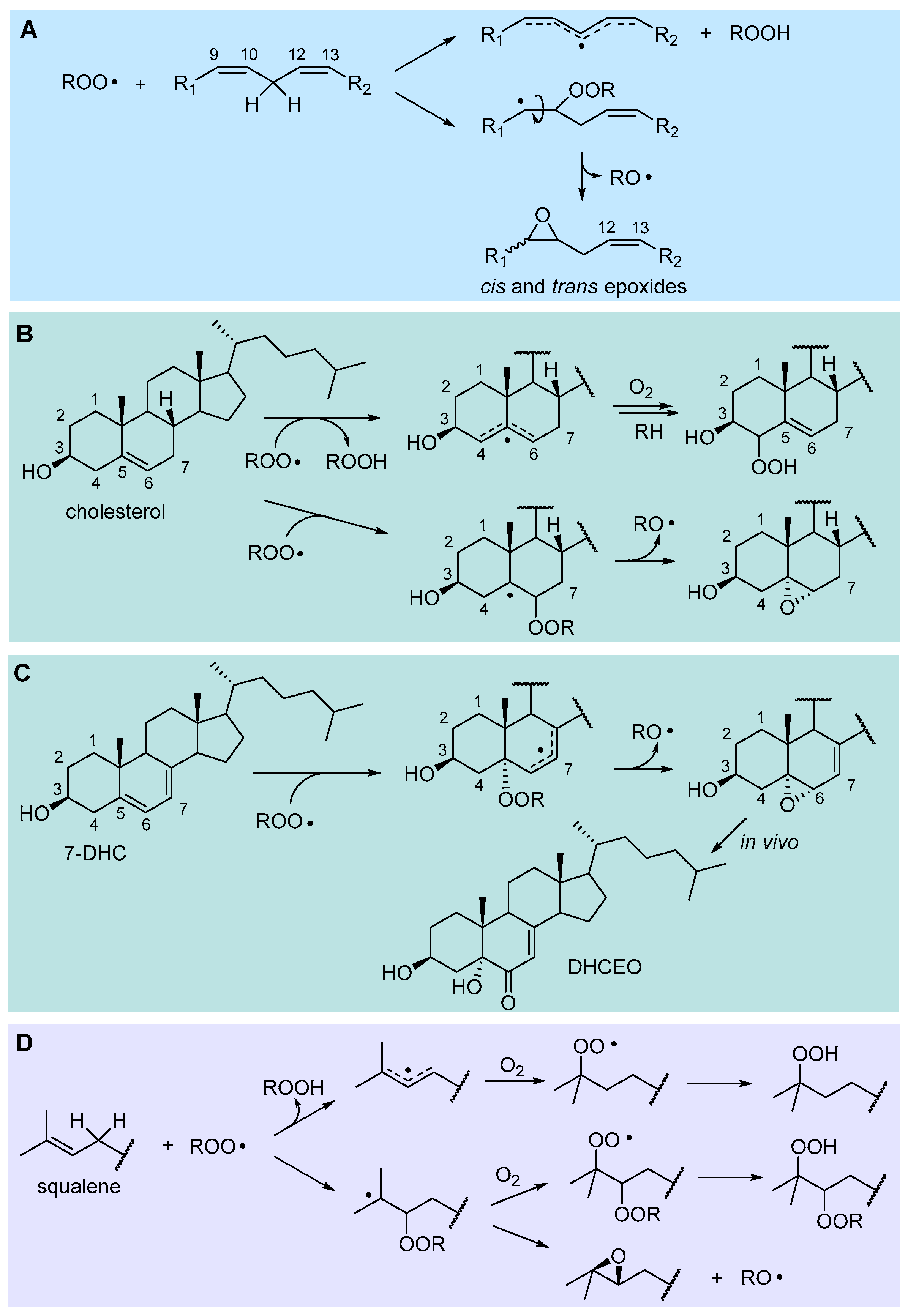 Biomolecules 13 01291 g003