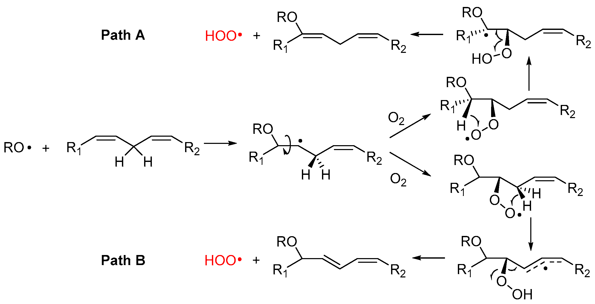Biomolecules 13 01291 g004