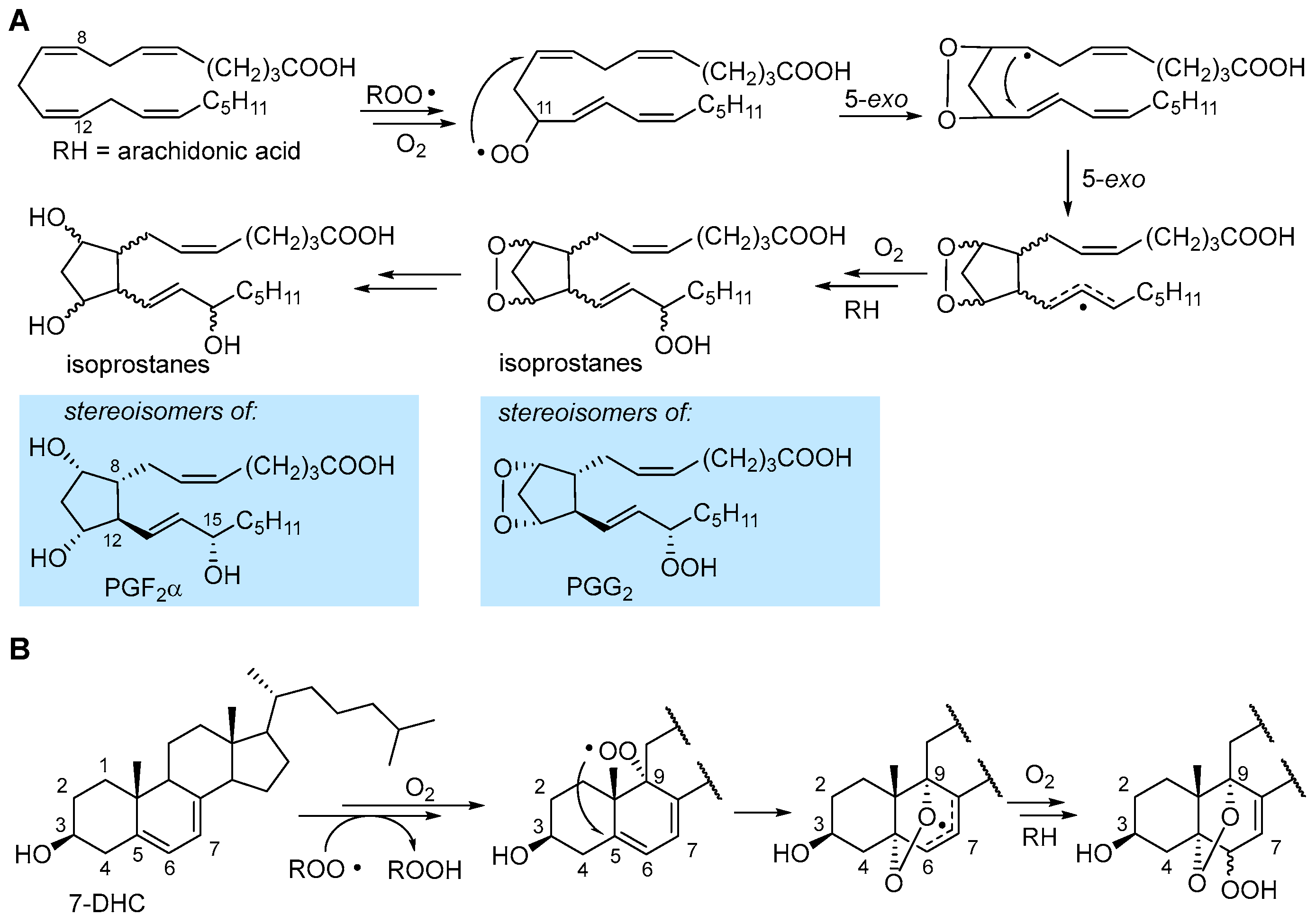 Biomolecules 13 01291 g005