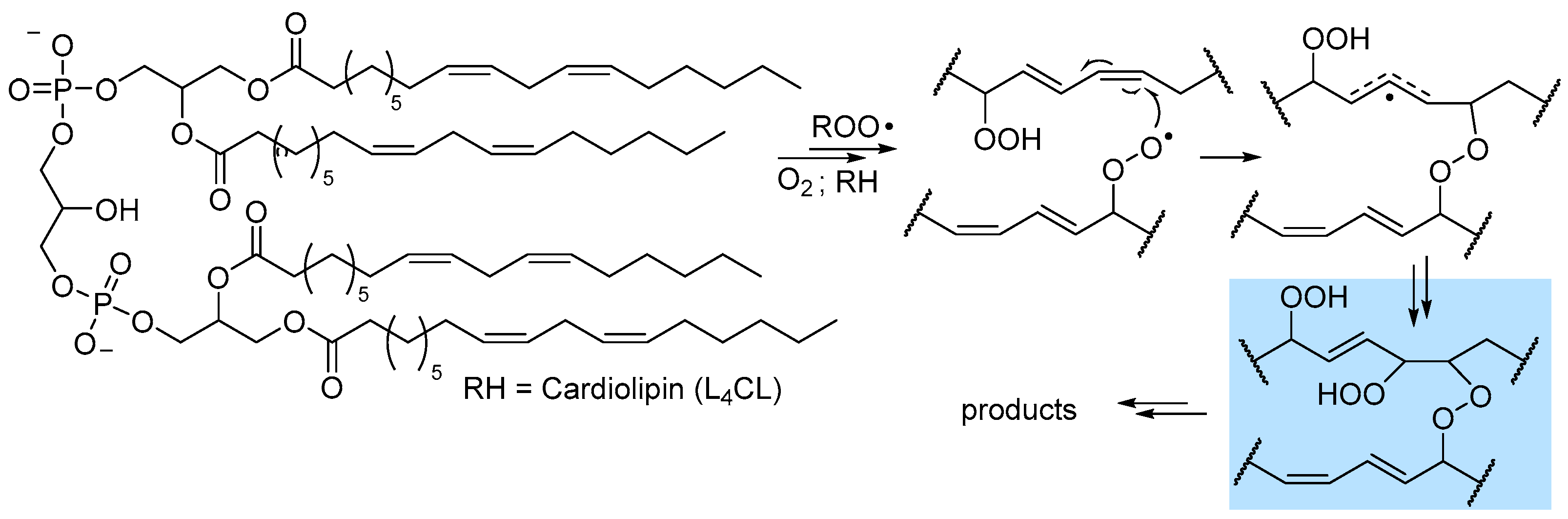Biomolecules 13 01291 g006