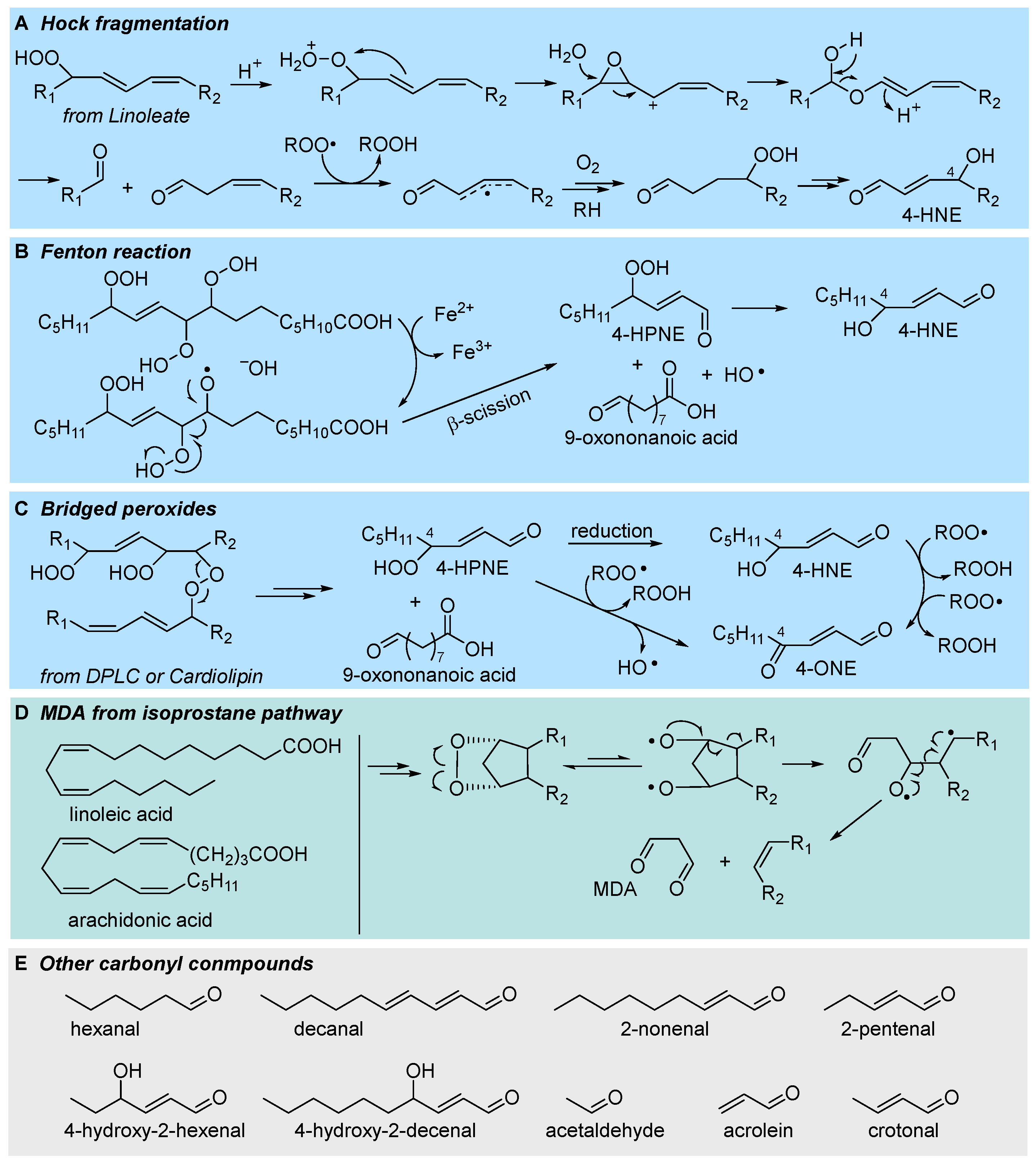 Biomolecules 13 01291 g007