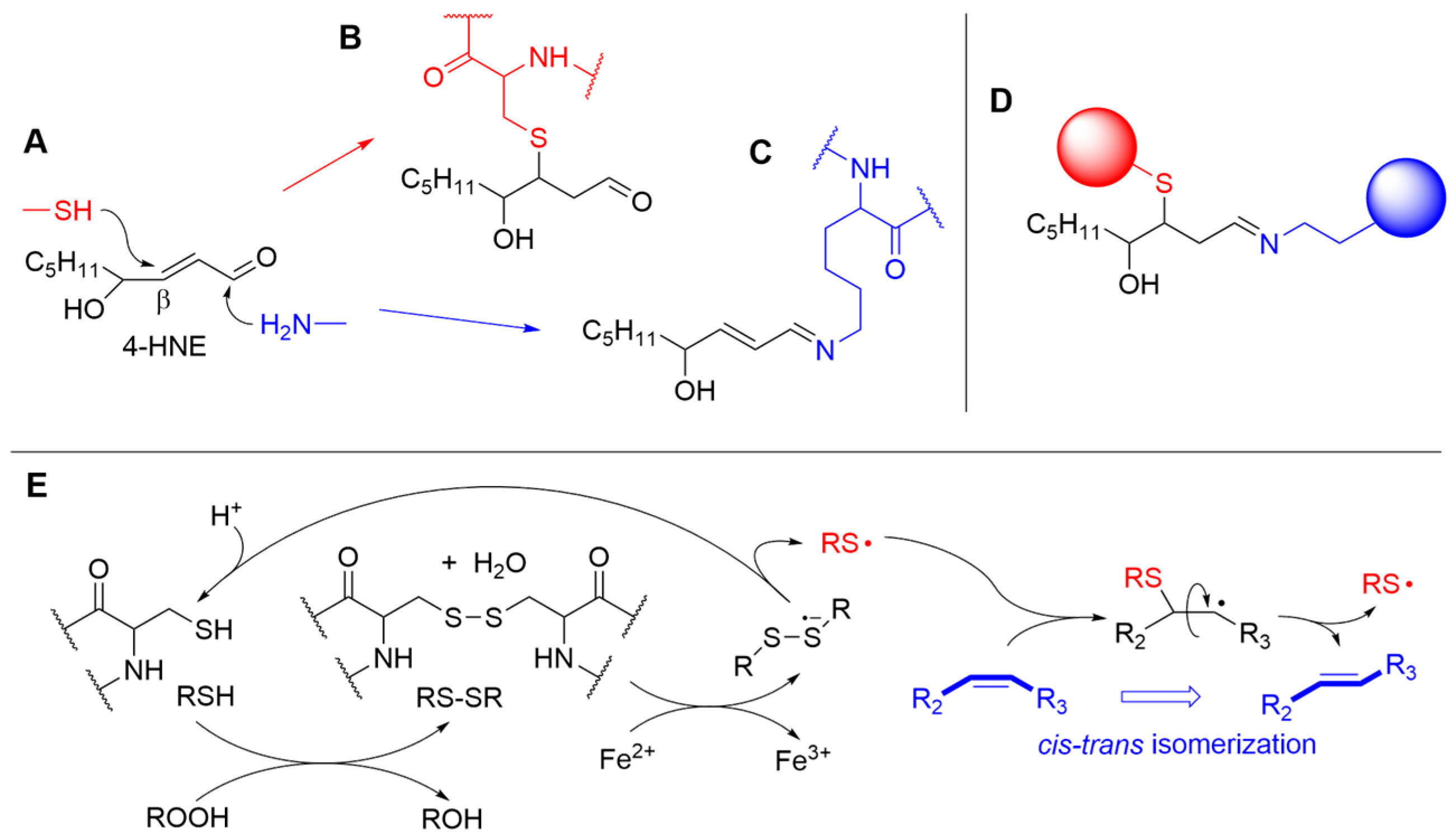 Biomolecules 13 01291 g008