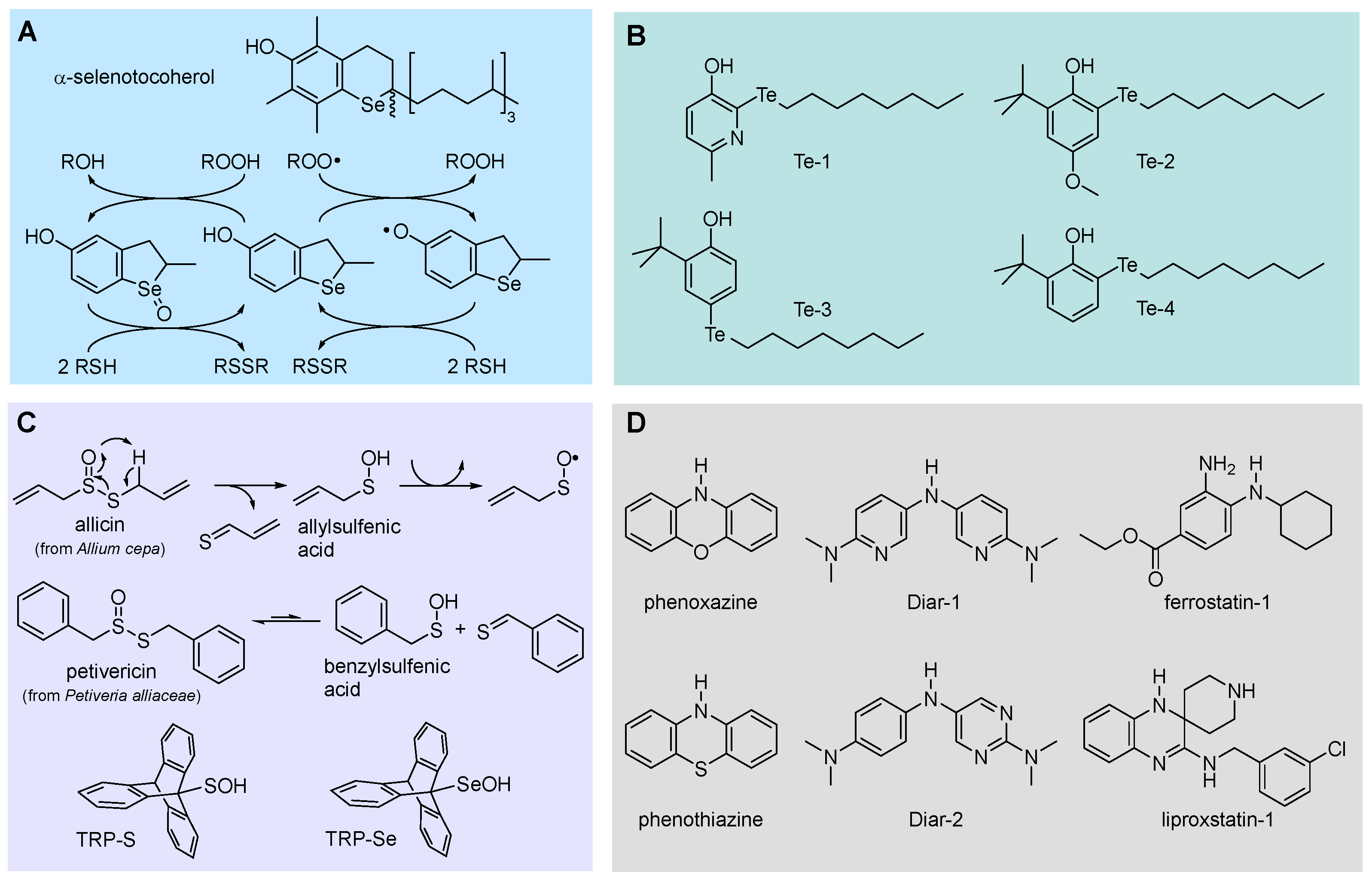 Biomolecules 13 01291 g013