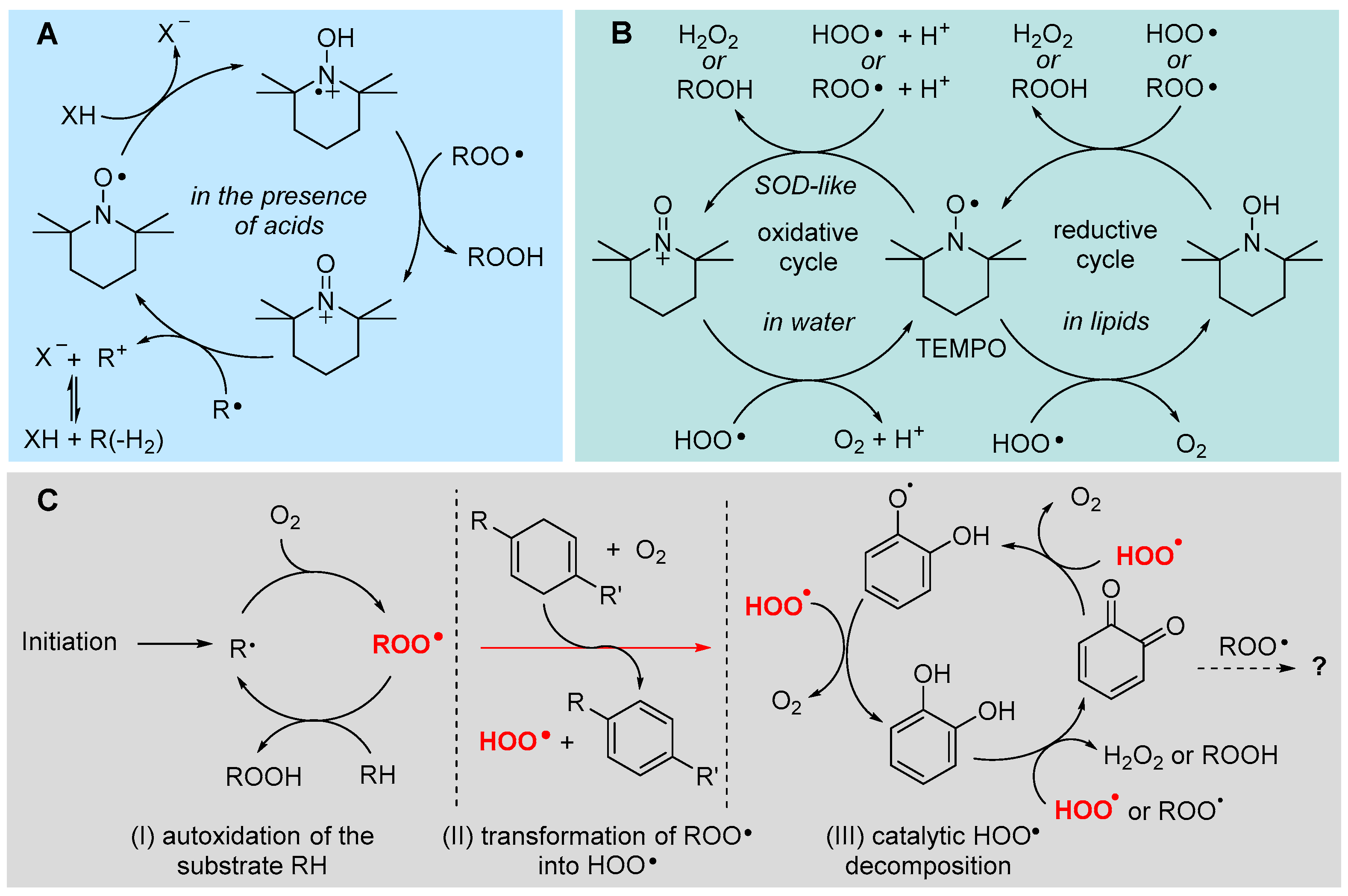 Biomolecules 13 01291 g014