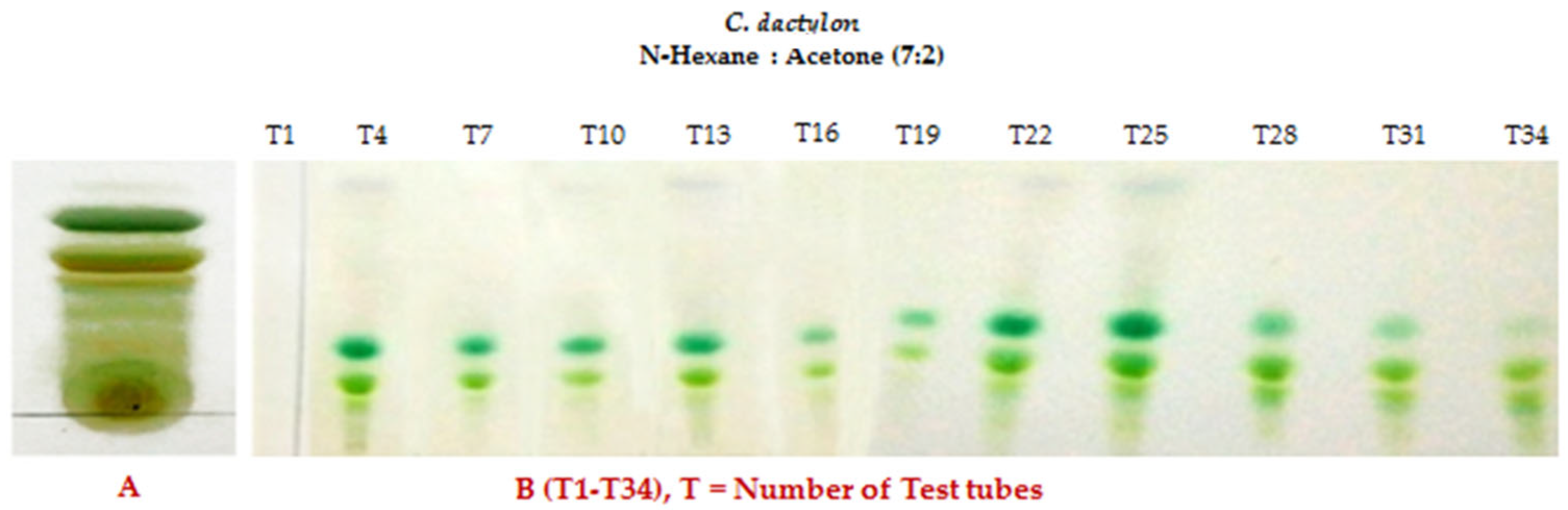 Biomolecules 13 01292 g004