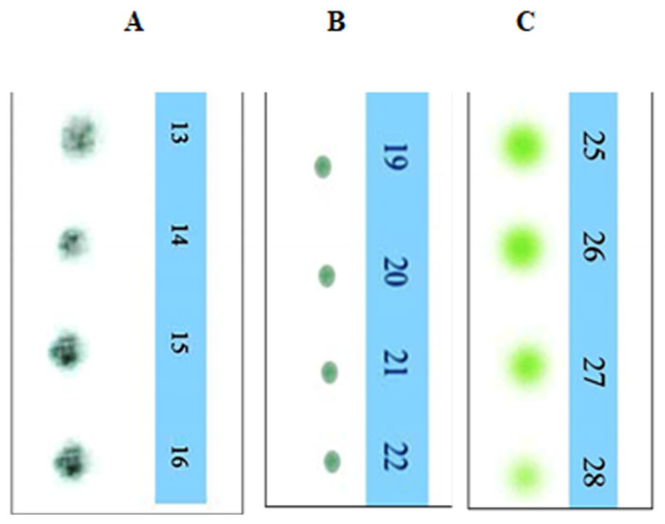 Biomolecules 13 01292 g005