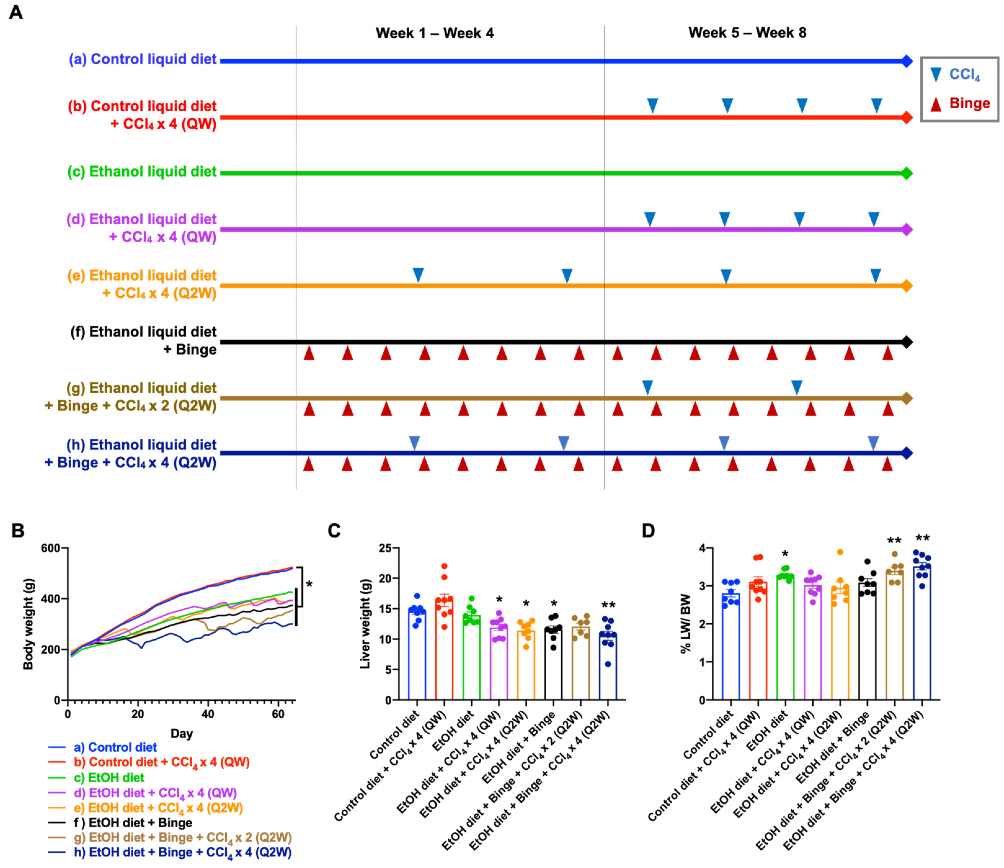 Biomolecules 13 01293 g001