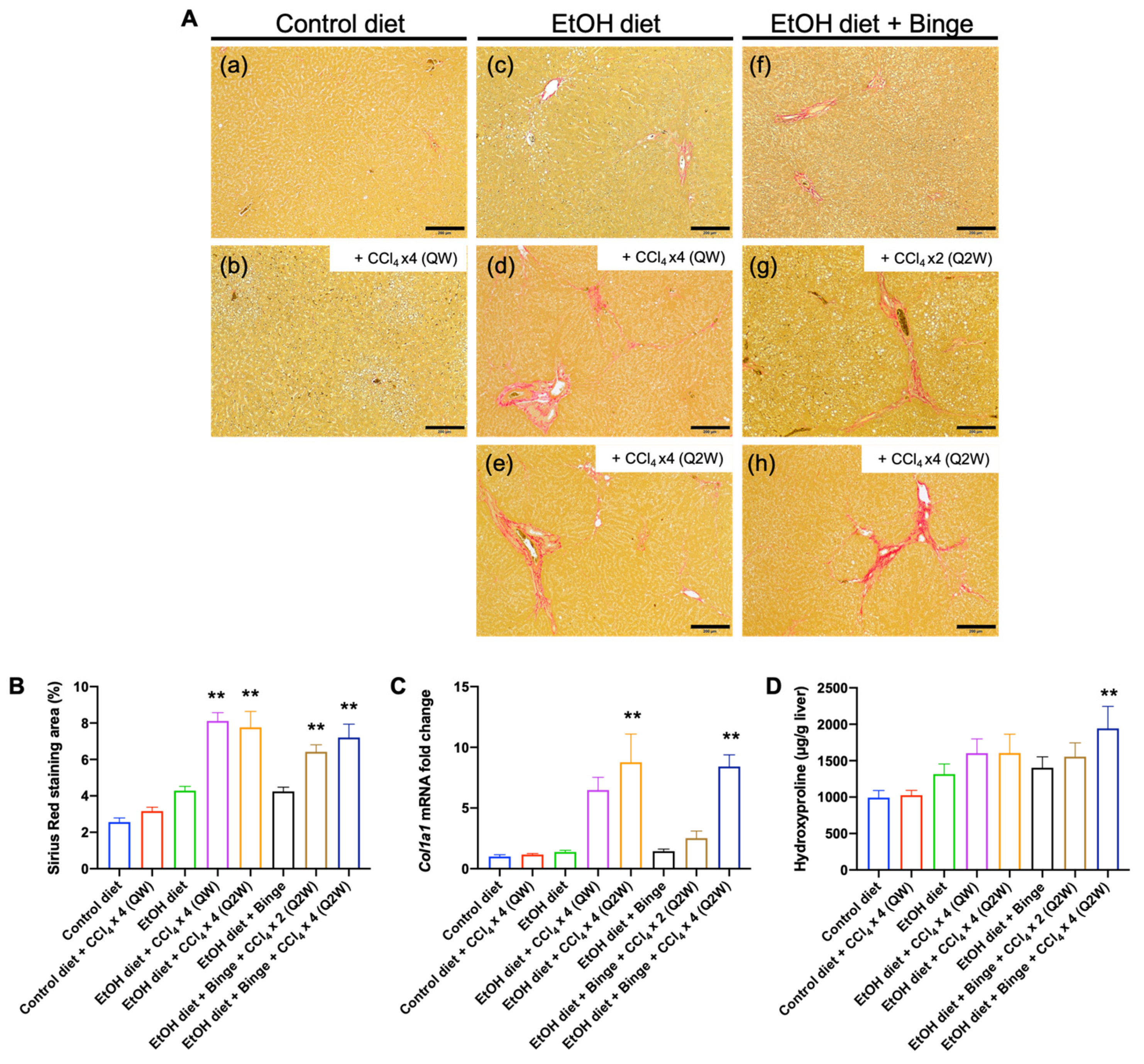 Biomolecules 13 01293 g004
