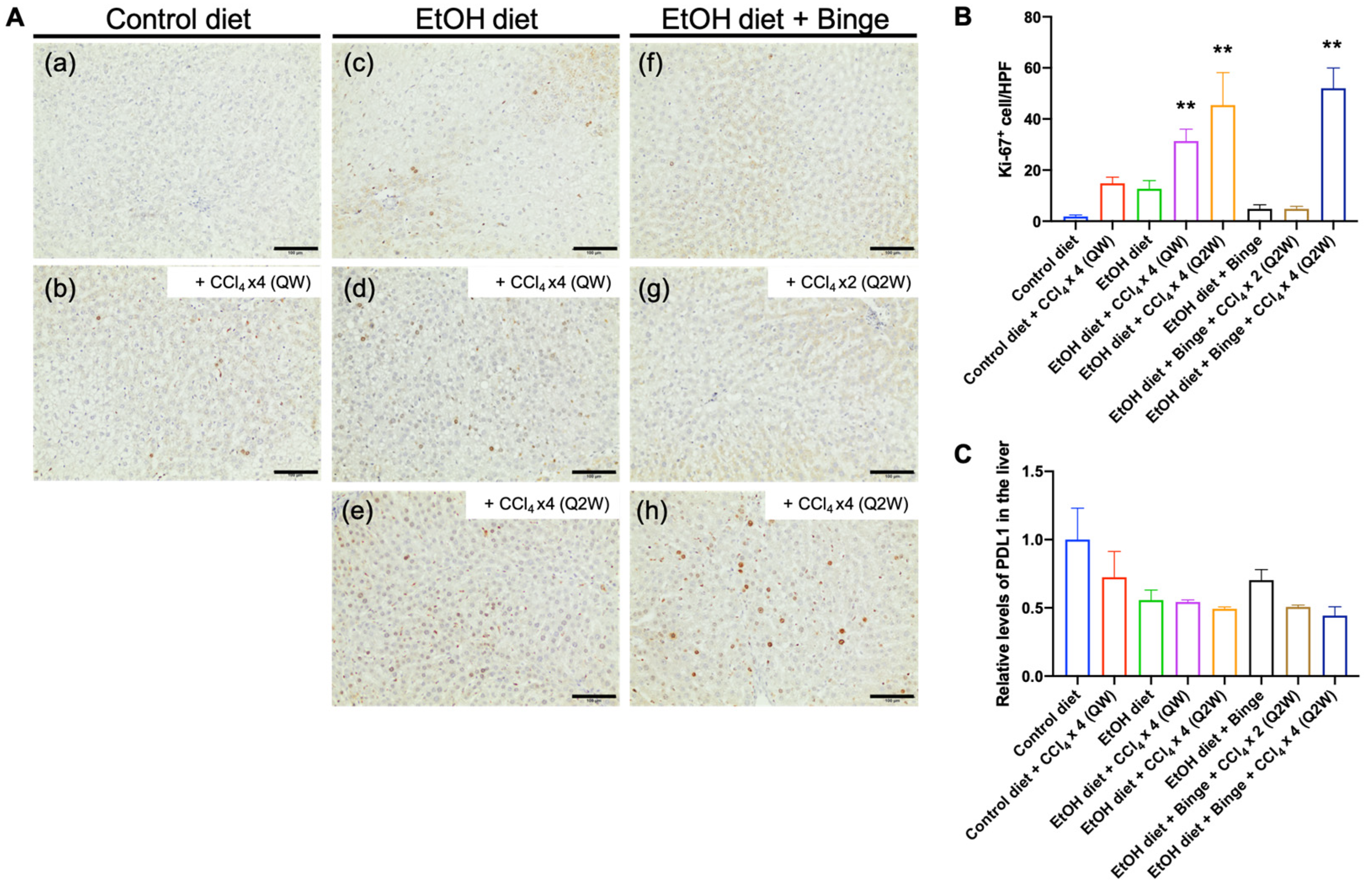 Biomolecules 13 01293 g007
