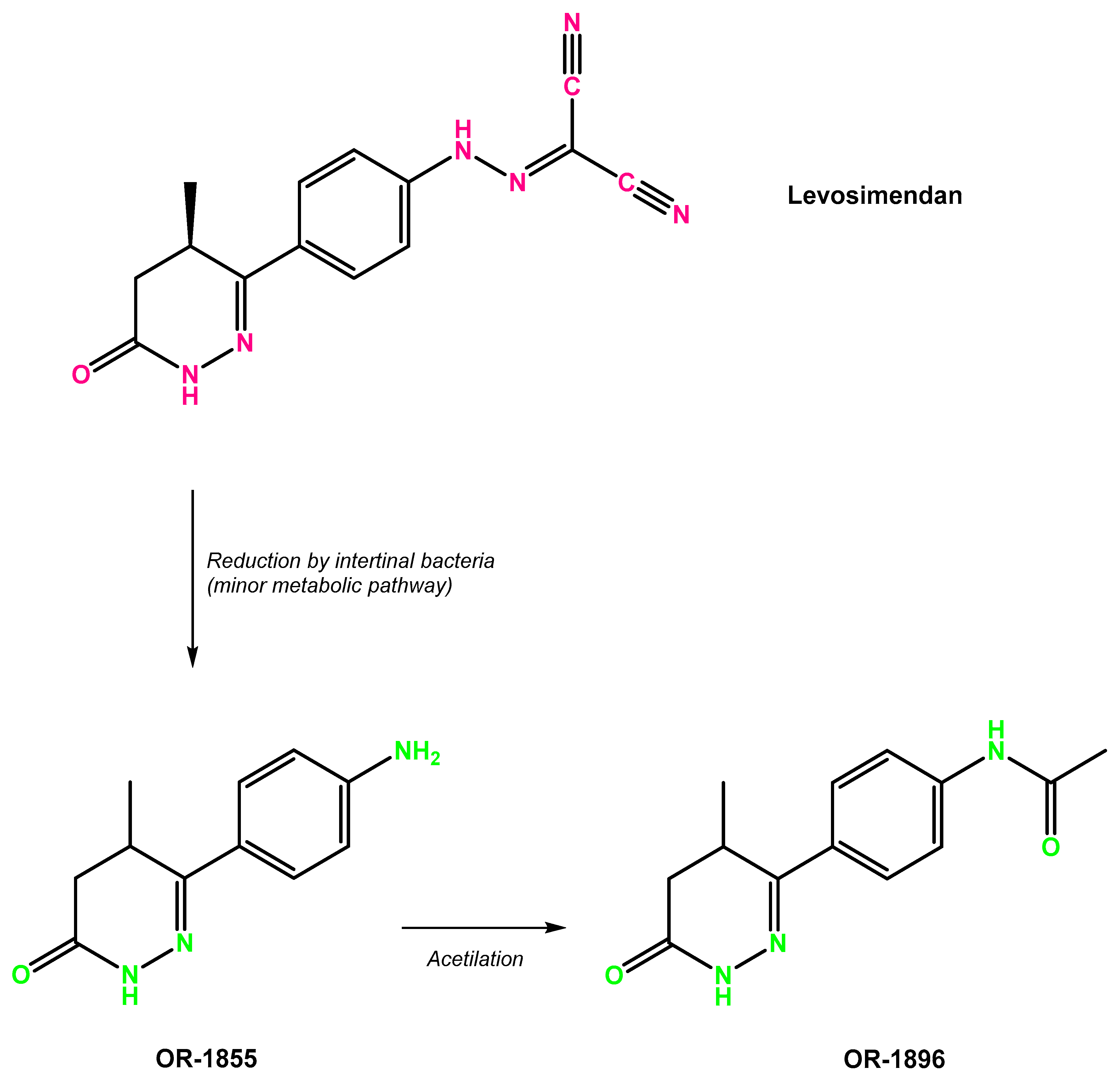 Biomolecules 13 01296 g001